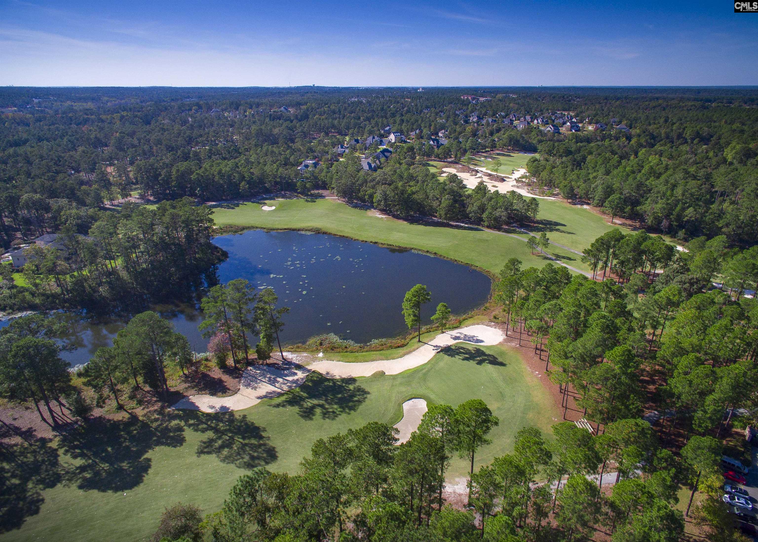 331 E Arrowleaf Lane Elgin, SC 29045