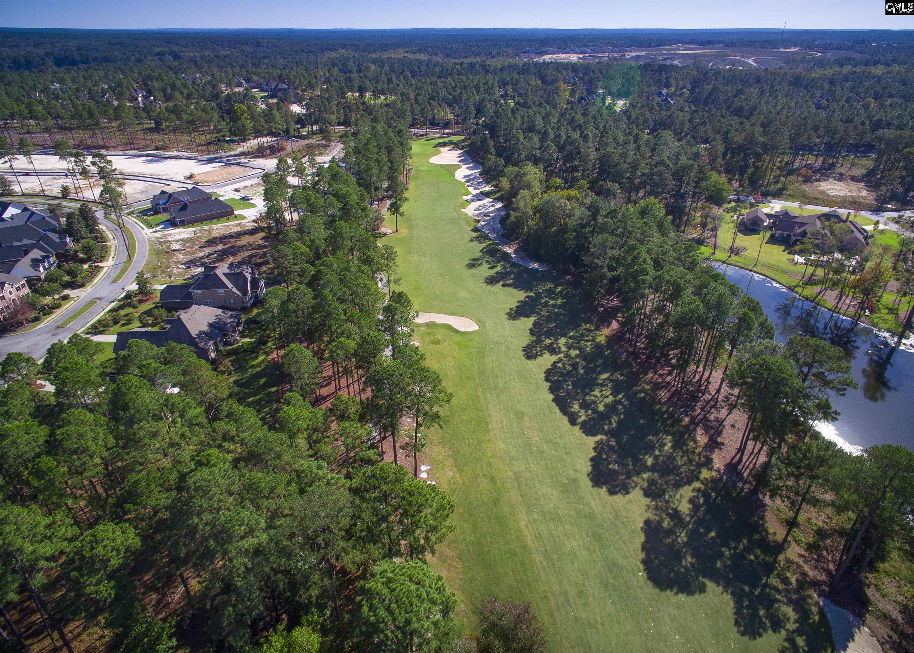 331 E Arrowleaf Lane Elgin, SC 29045