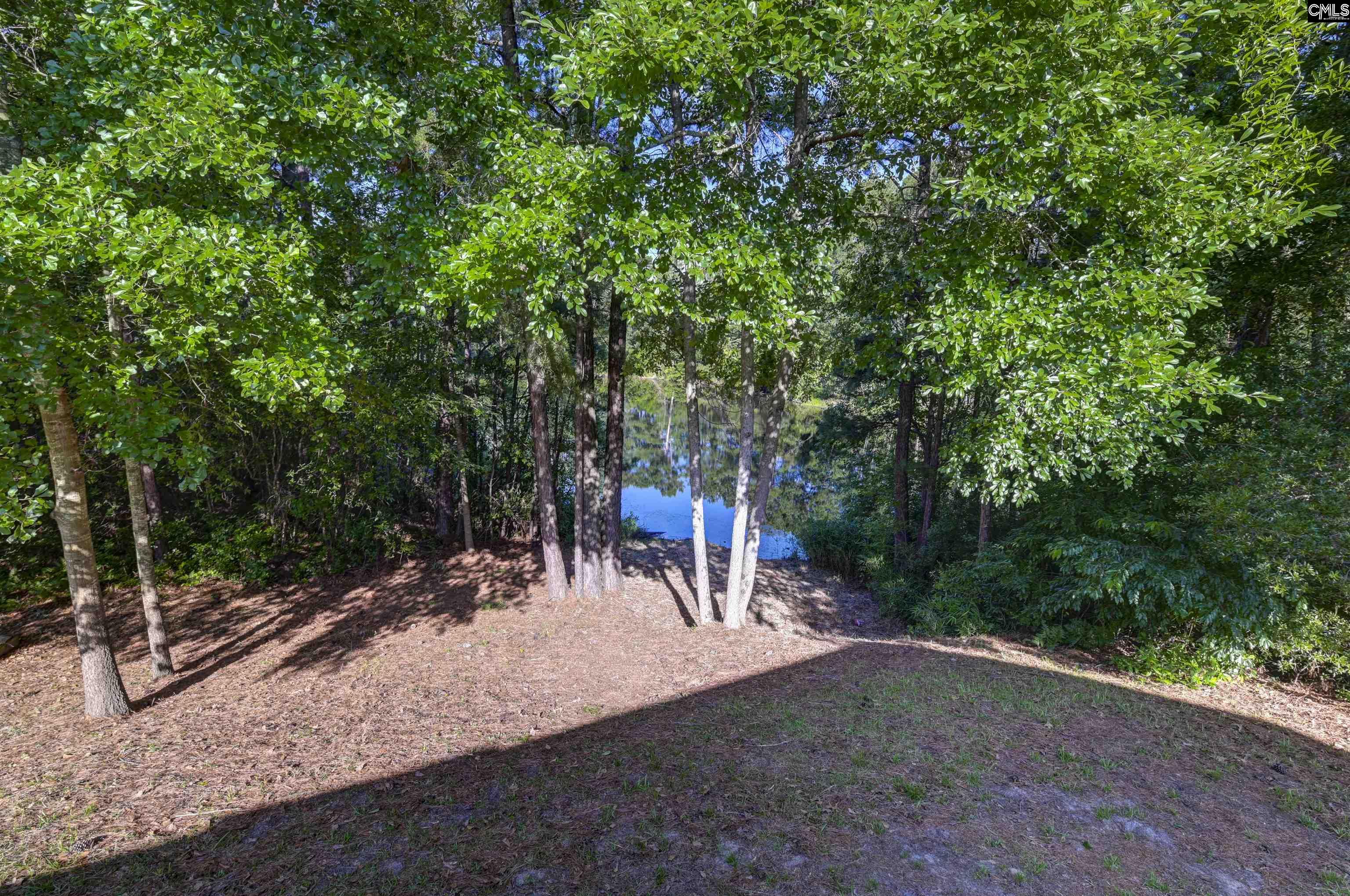 215 Sorrel Tree Drive Columbia, SC 29223