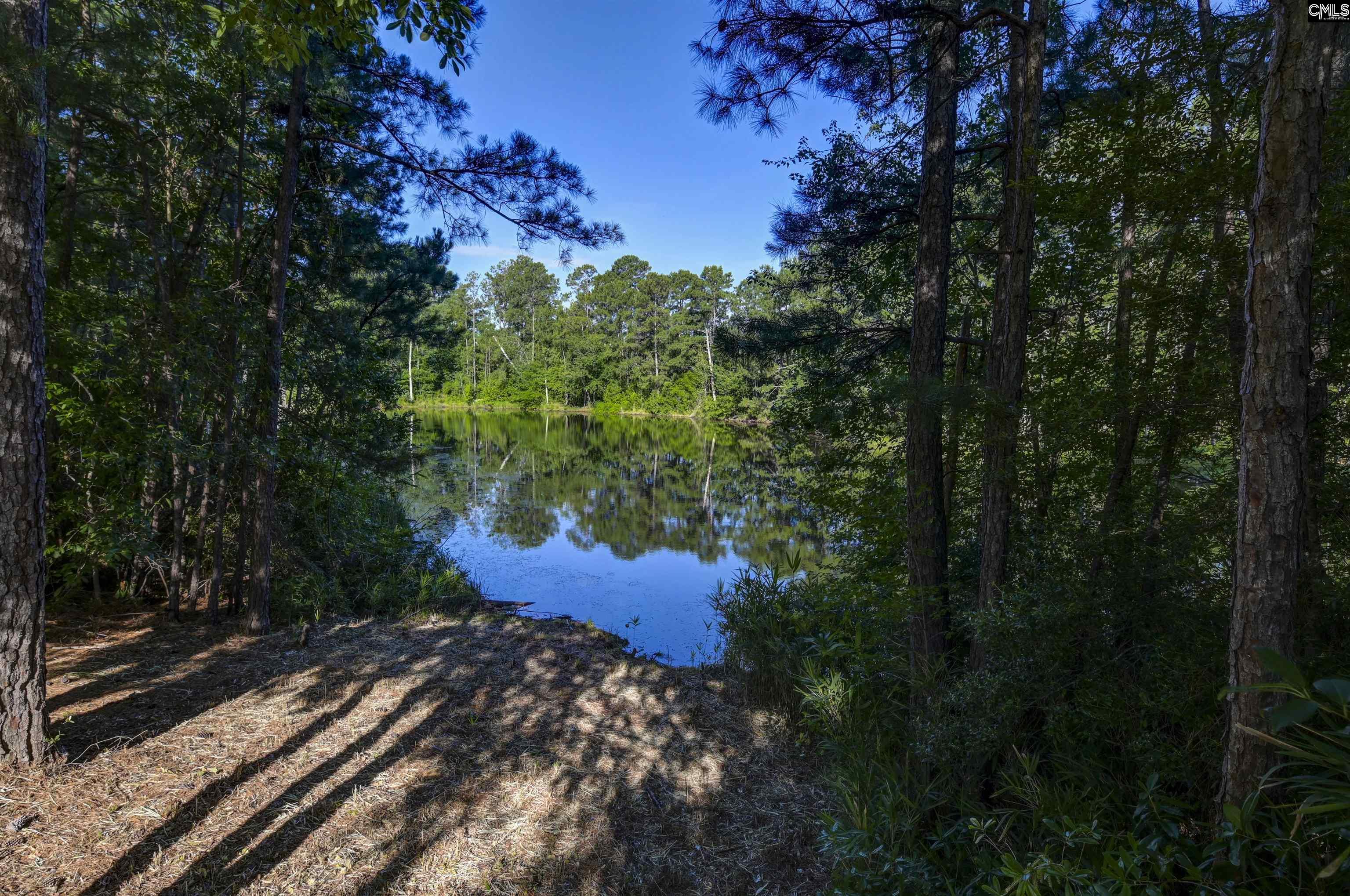 215 Sorrel Tree Drive Columbia, SC 29223