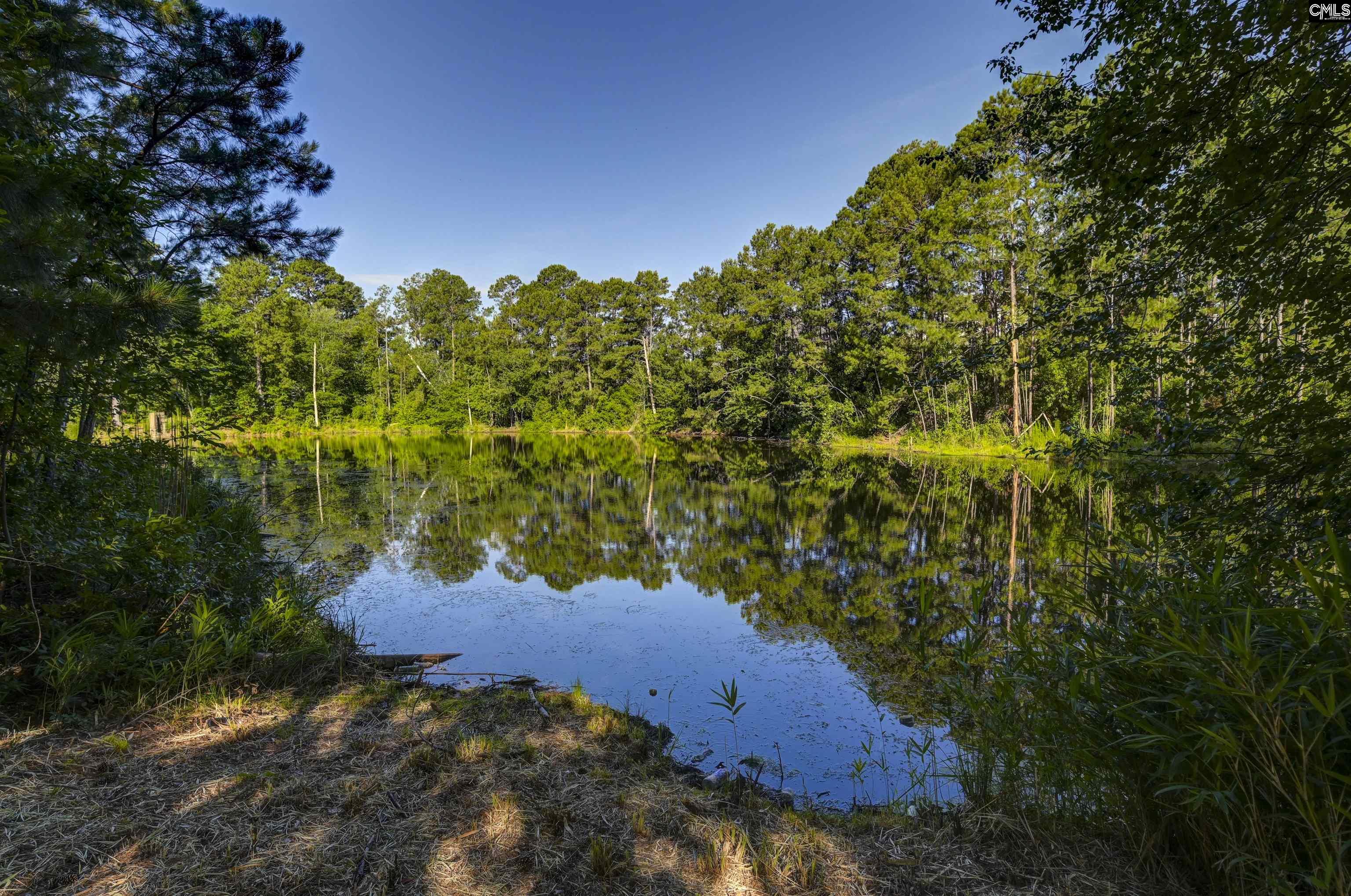 215 Sorrel Tree Drive Columbia, SC 29223