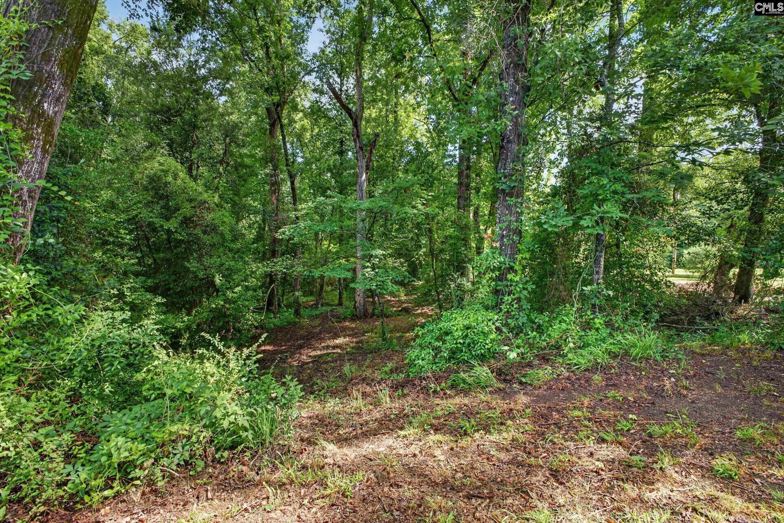 1611 Dixired Road Leesville, SC 29070-8