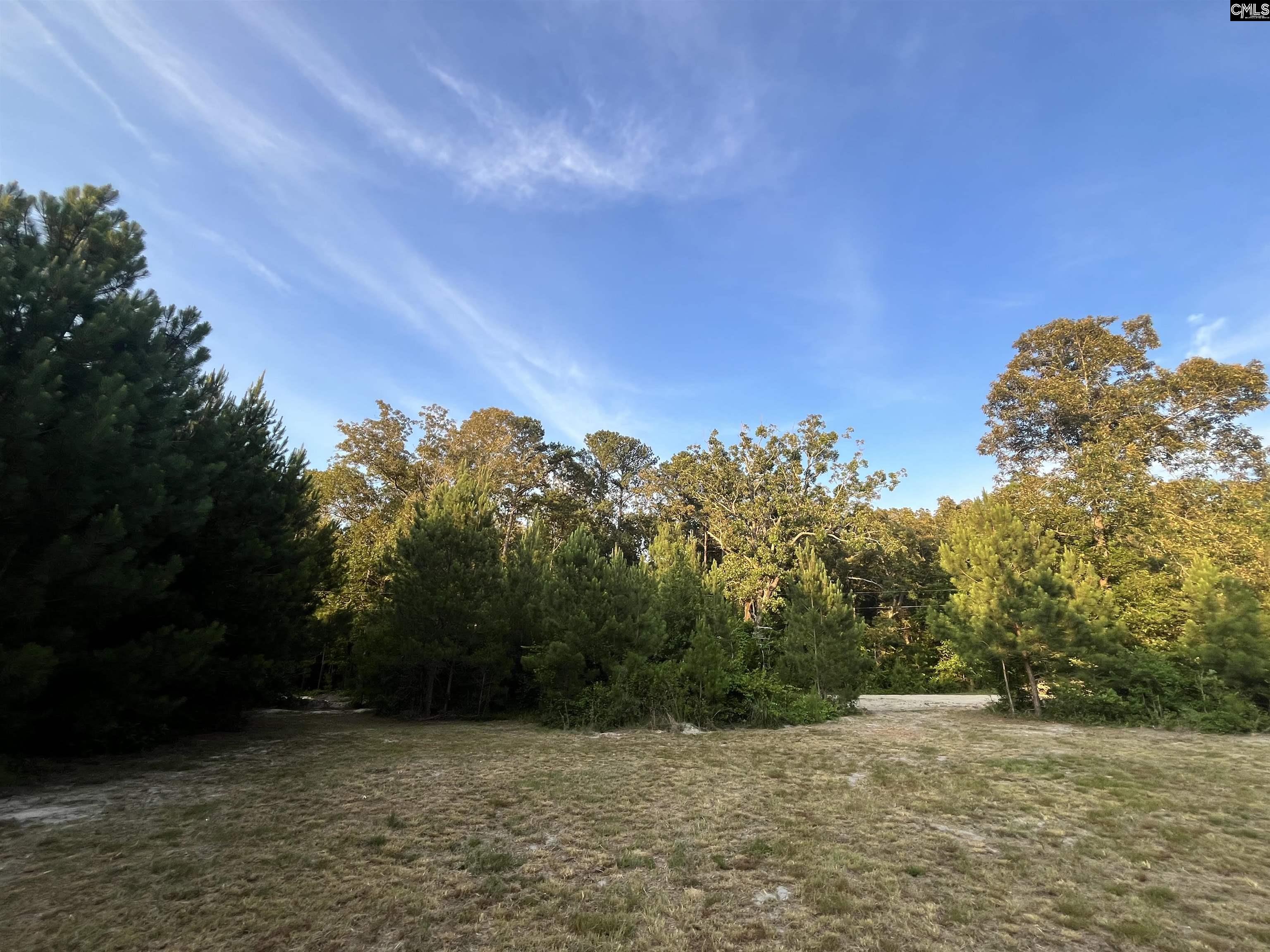 590 Springwood Lane Lexington, SC 29073