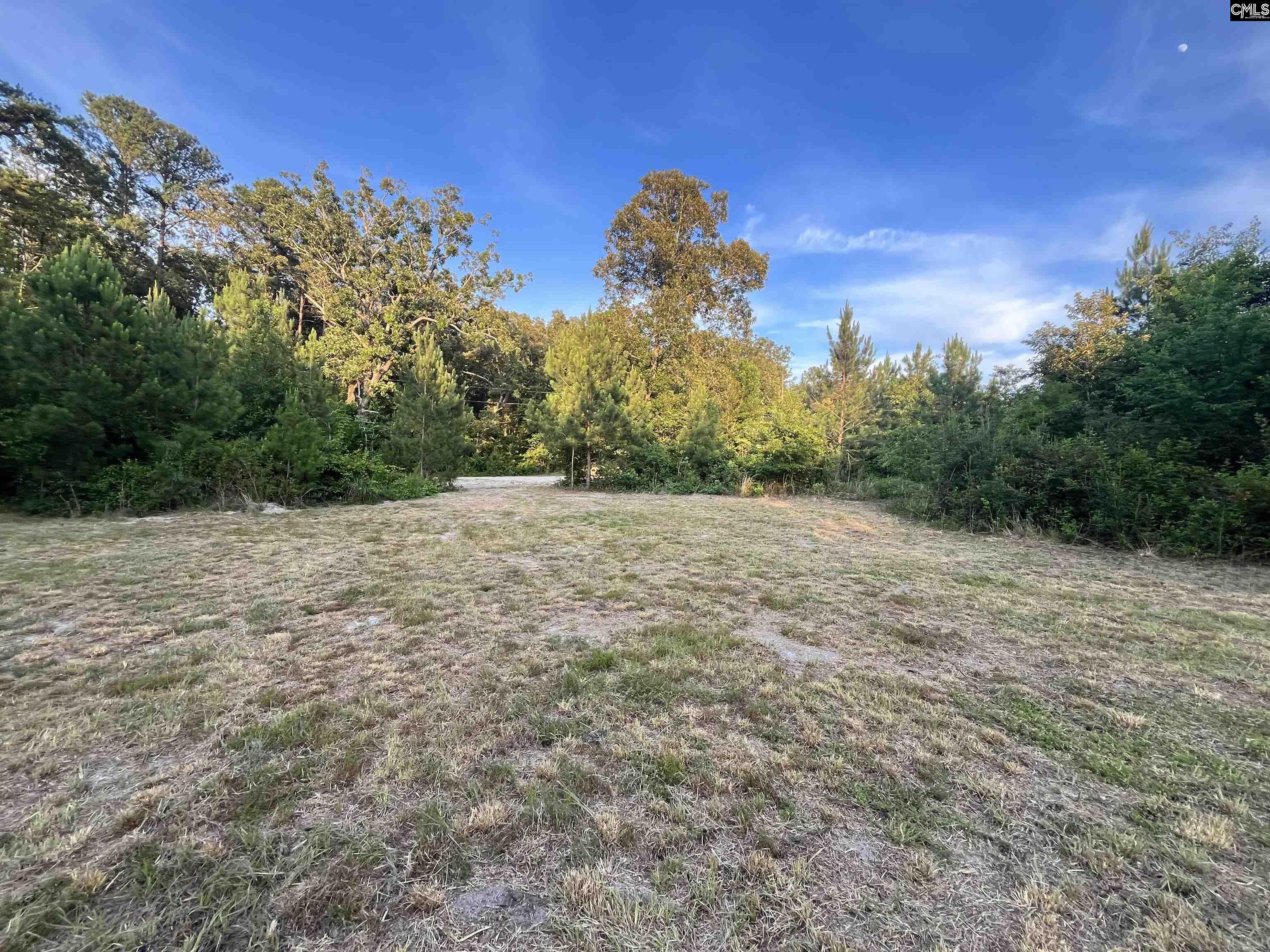 590 Springwood Lane Lexington, SC 29073