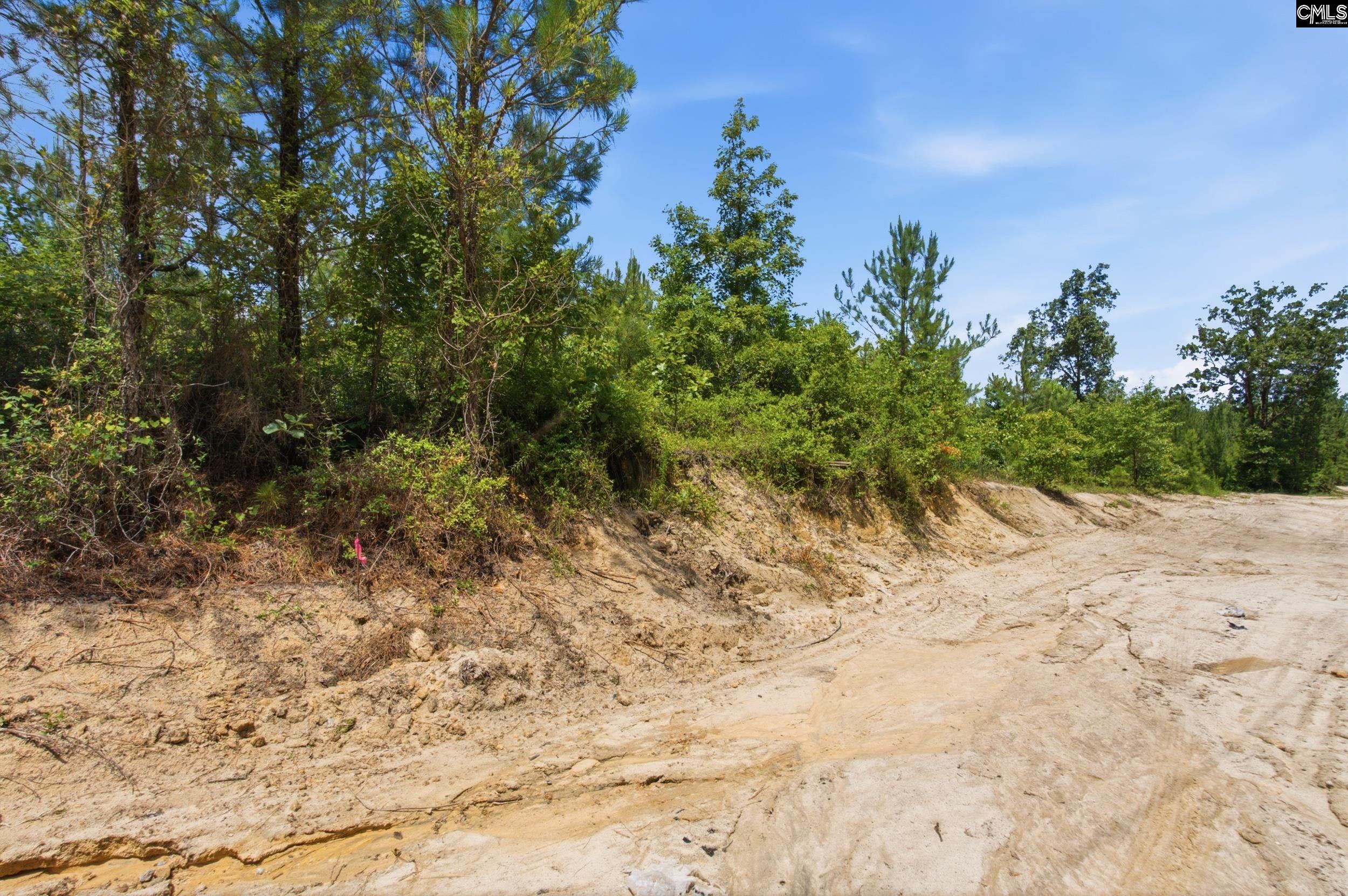 590 Springwood Lane Lexington, SC 29073