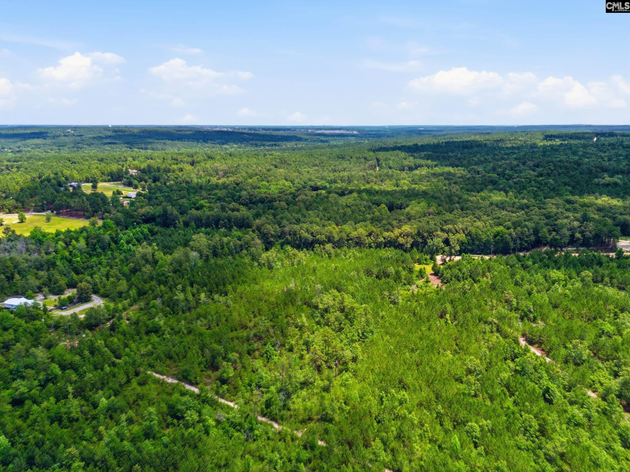 590 Springwood Lane Lexington, SC 29073