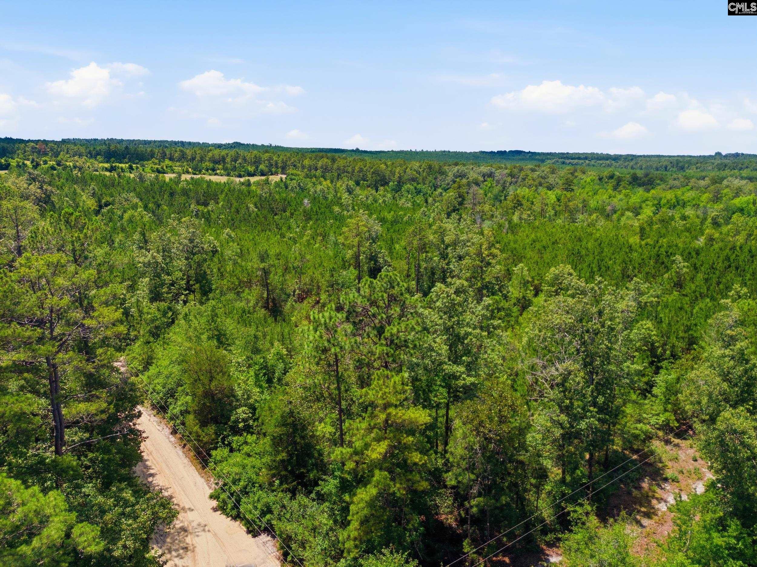 590 Springwood Lane Lexington, SC 29073