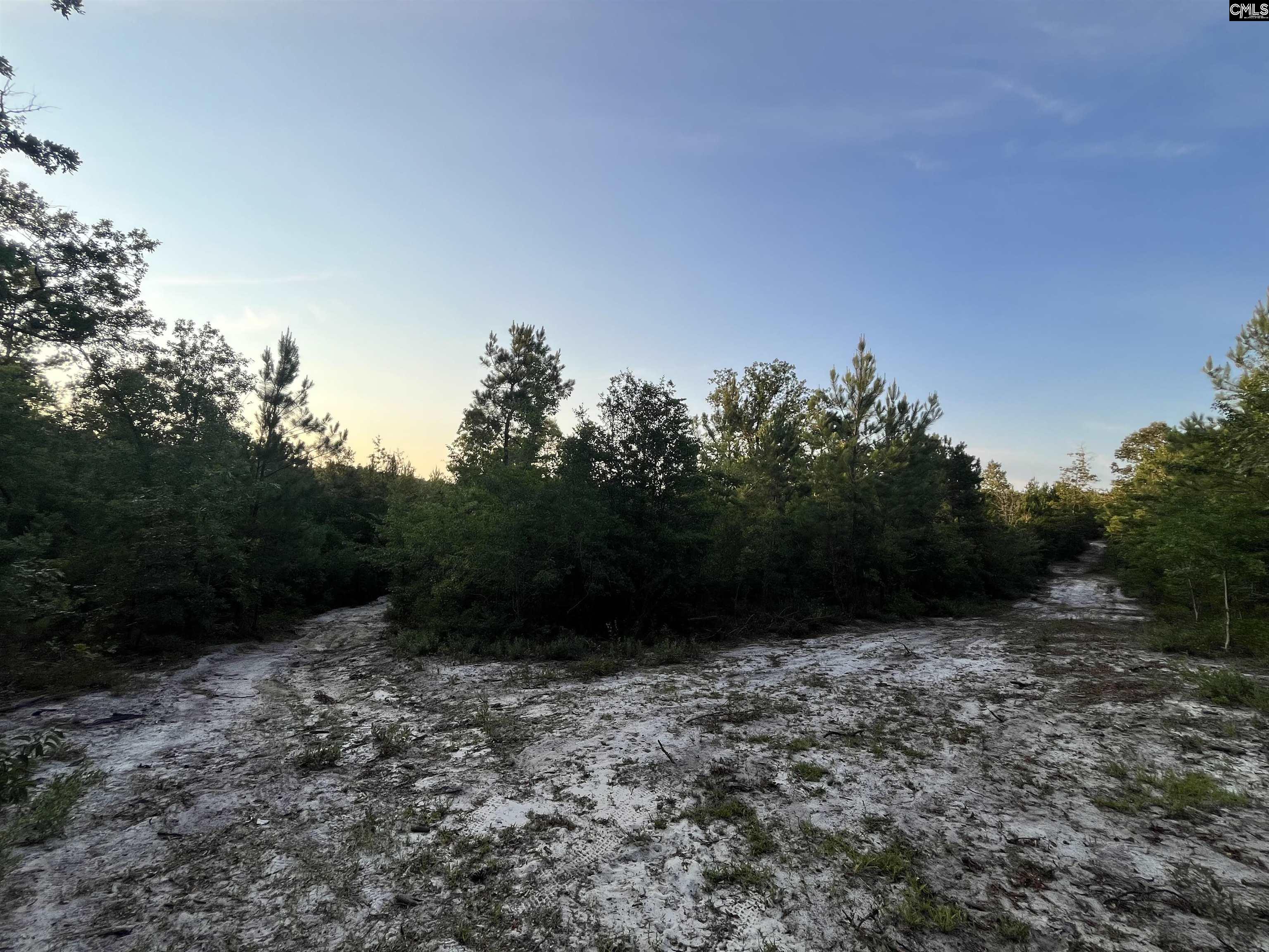 590 Springwood Lane Lexington, SC 29073