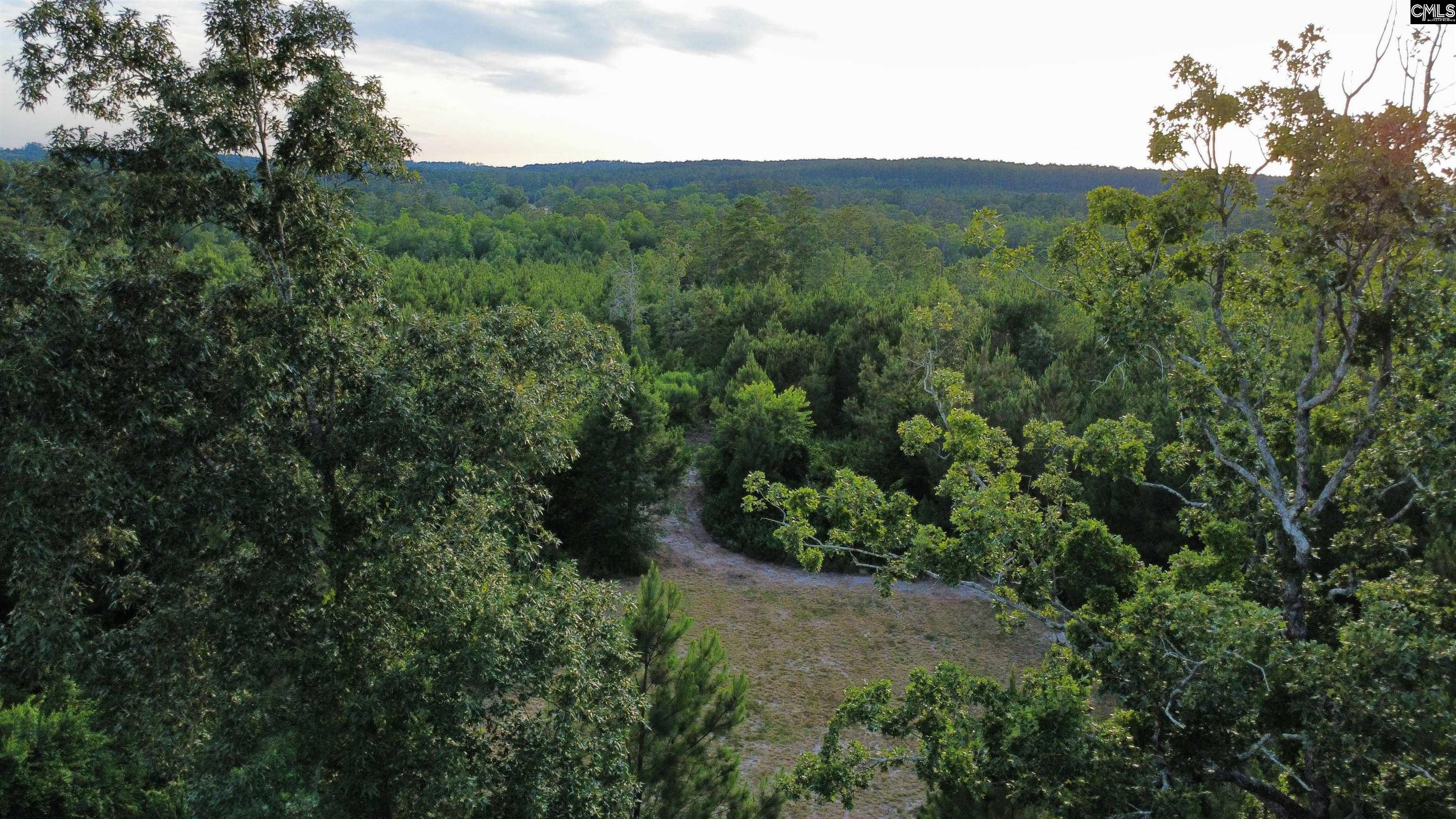 590 Springwood Lane Lexington, SC 29073