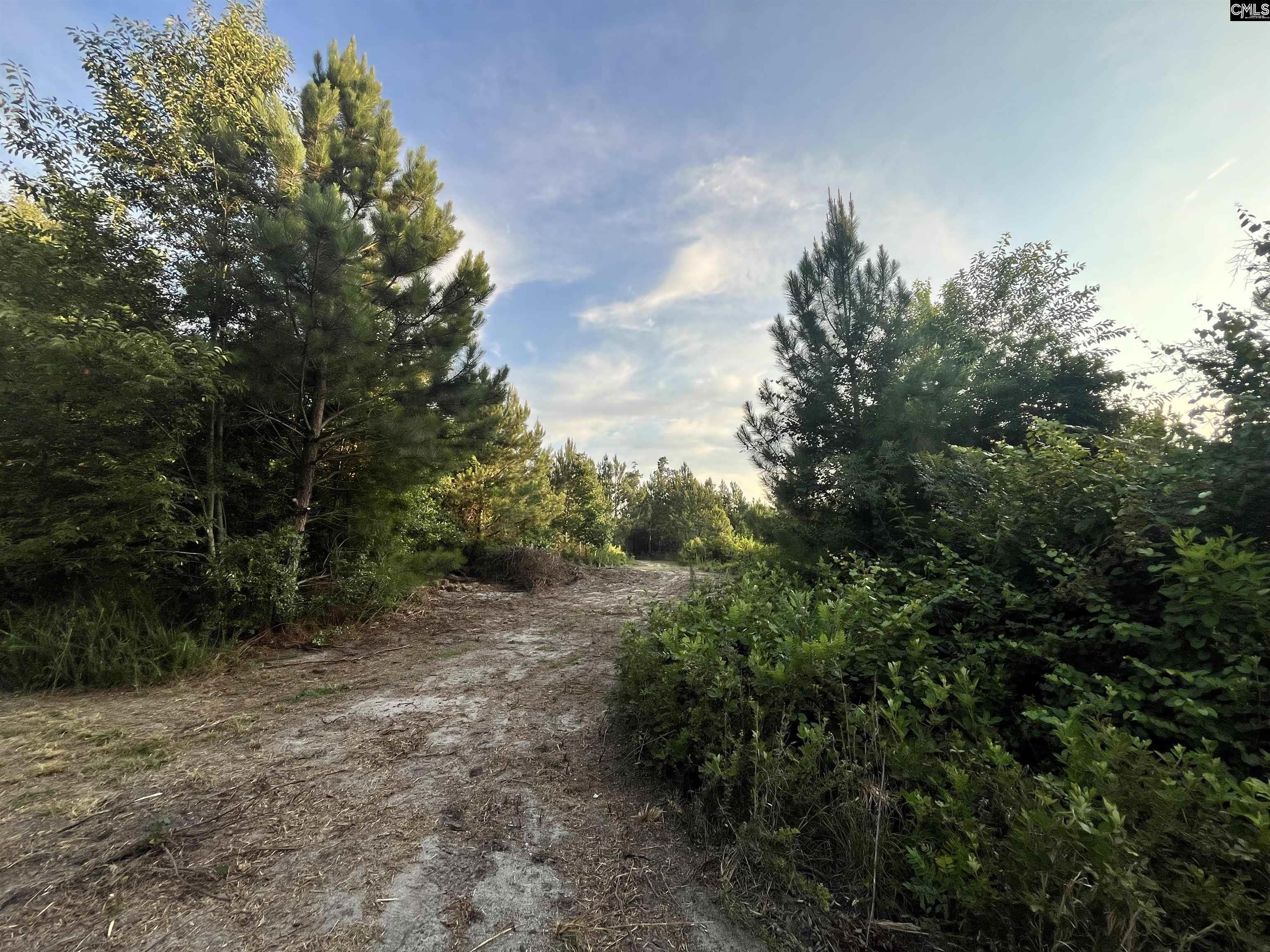 590 Springwood Lane Lexington, SC 29073