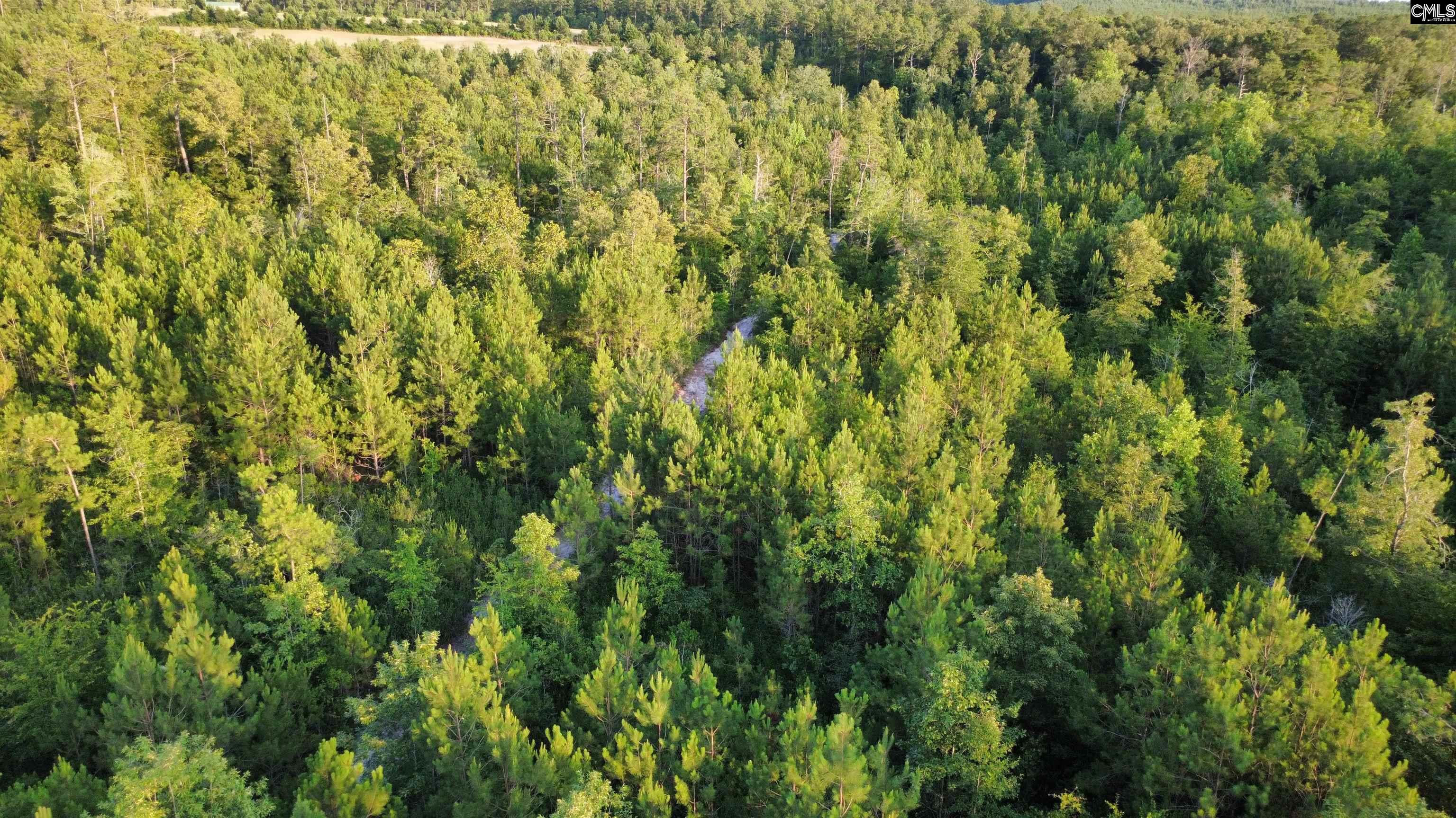 590 Springwood Lane Lexington, SC 29073