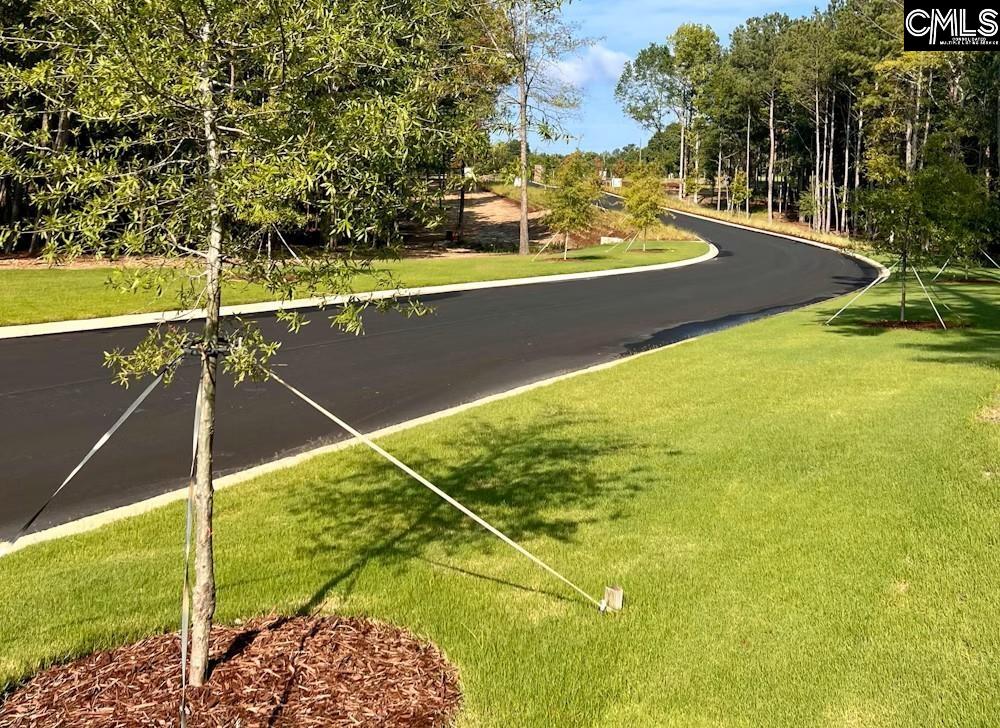 Lot 22 Shoreview Drive UNIT #22 Prosperity, SC 29127