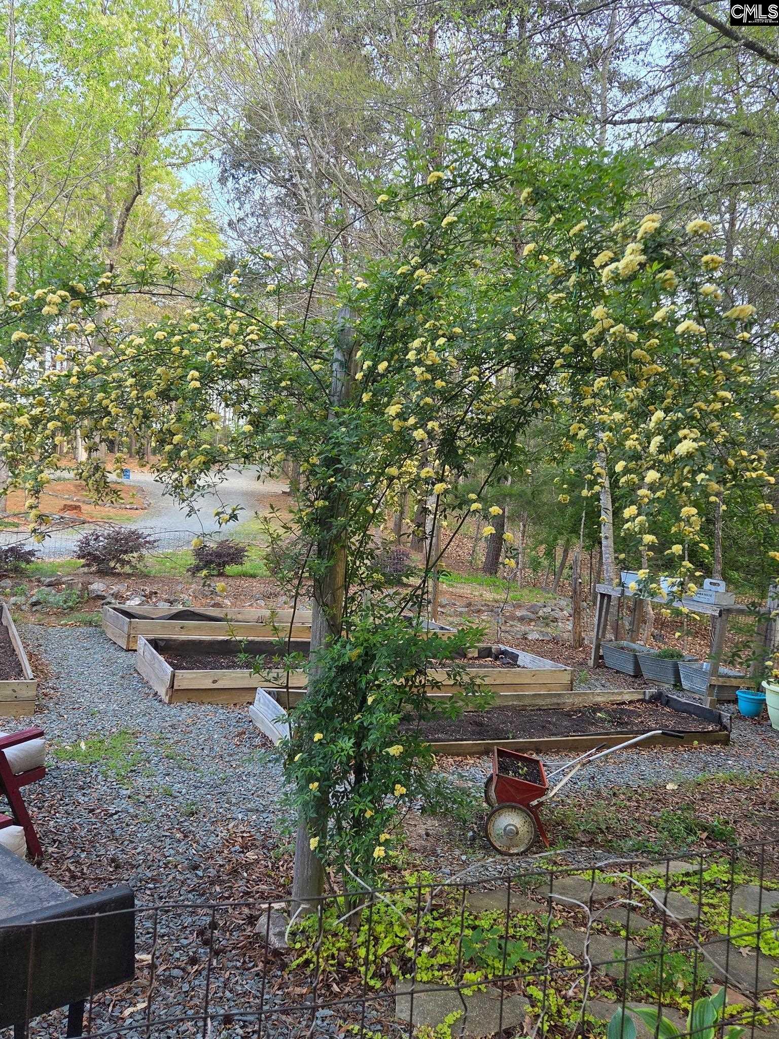 6334 Griffin Road Lancaster, SC 29720
