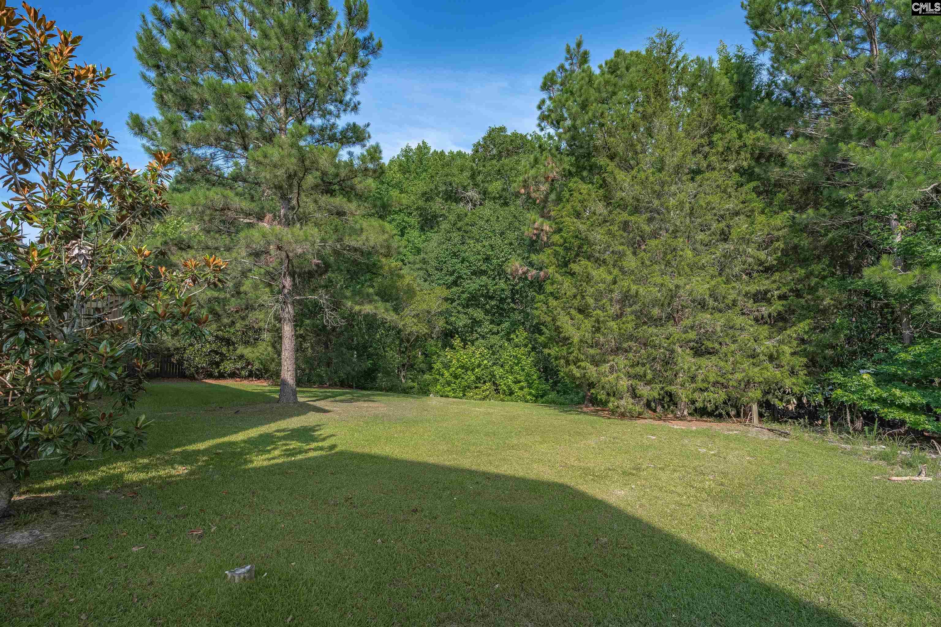 241 Kenmore Park Drive Columbia, SC 29223-8253