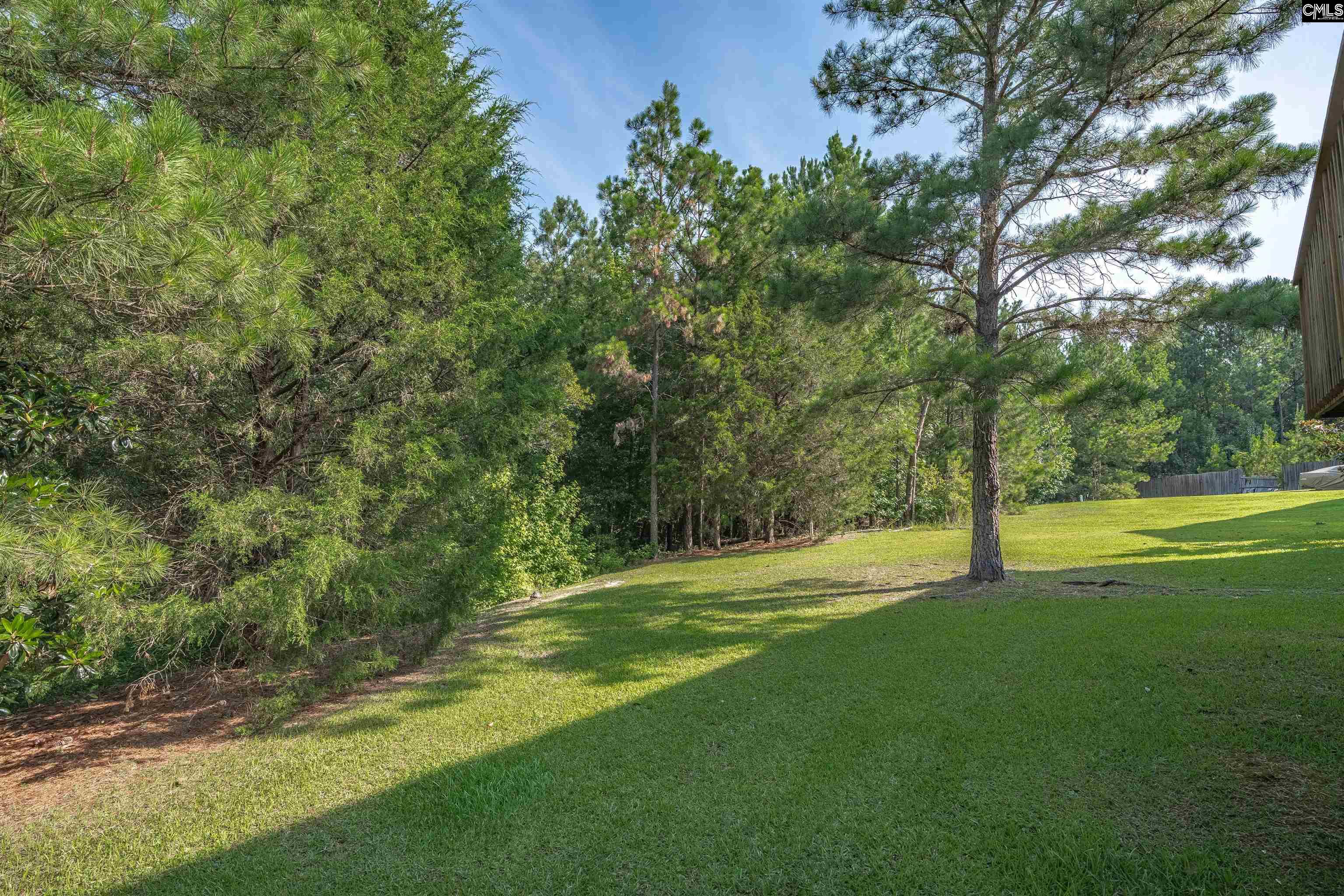 241 Kenmore Park Drive Columbia, SC 29223-8253