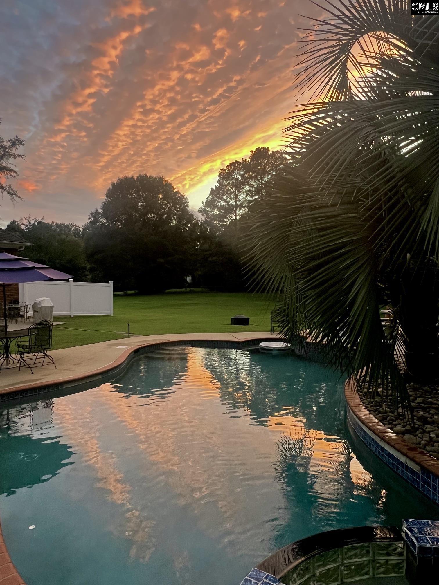 1504 Old Hilton Chapin, SC 29036-8920