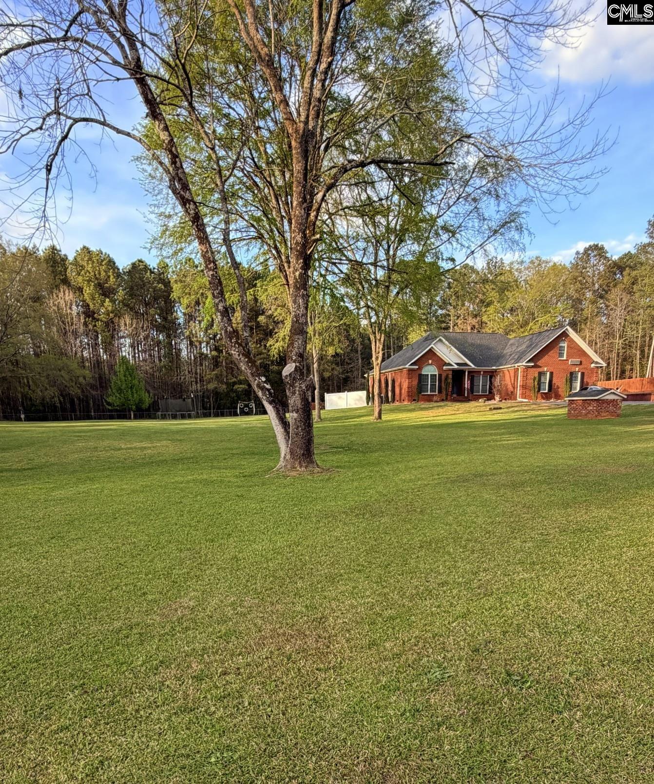 1504 Old Hilton Chapin, SC 29036-8920