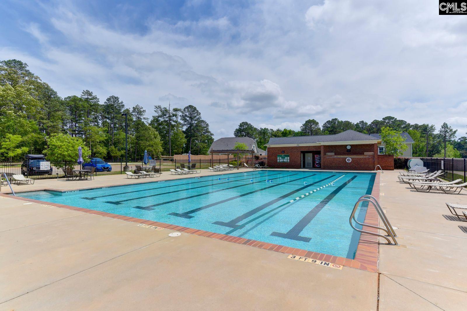 641 Timberlake Drive Chapin, SC 29036
