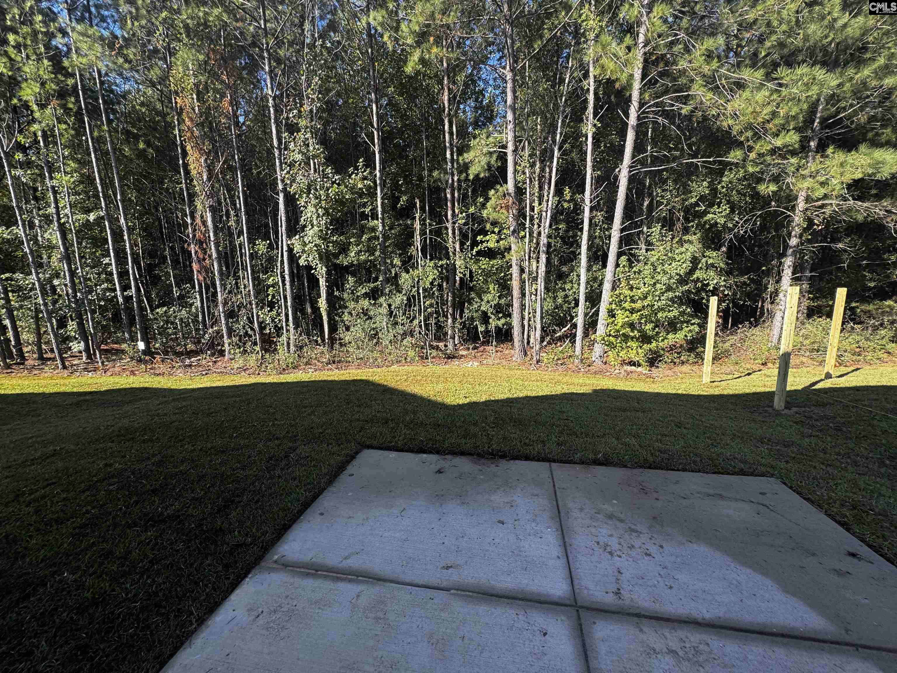 126 Bridgegate Court, Blythewood — photo 5