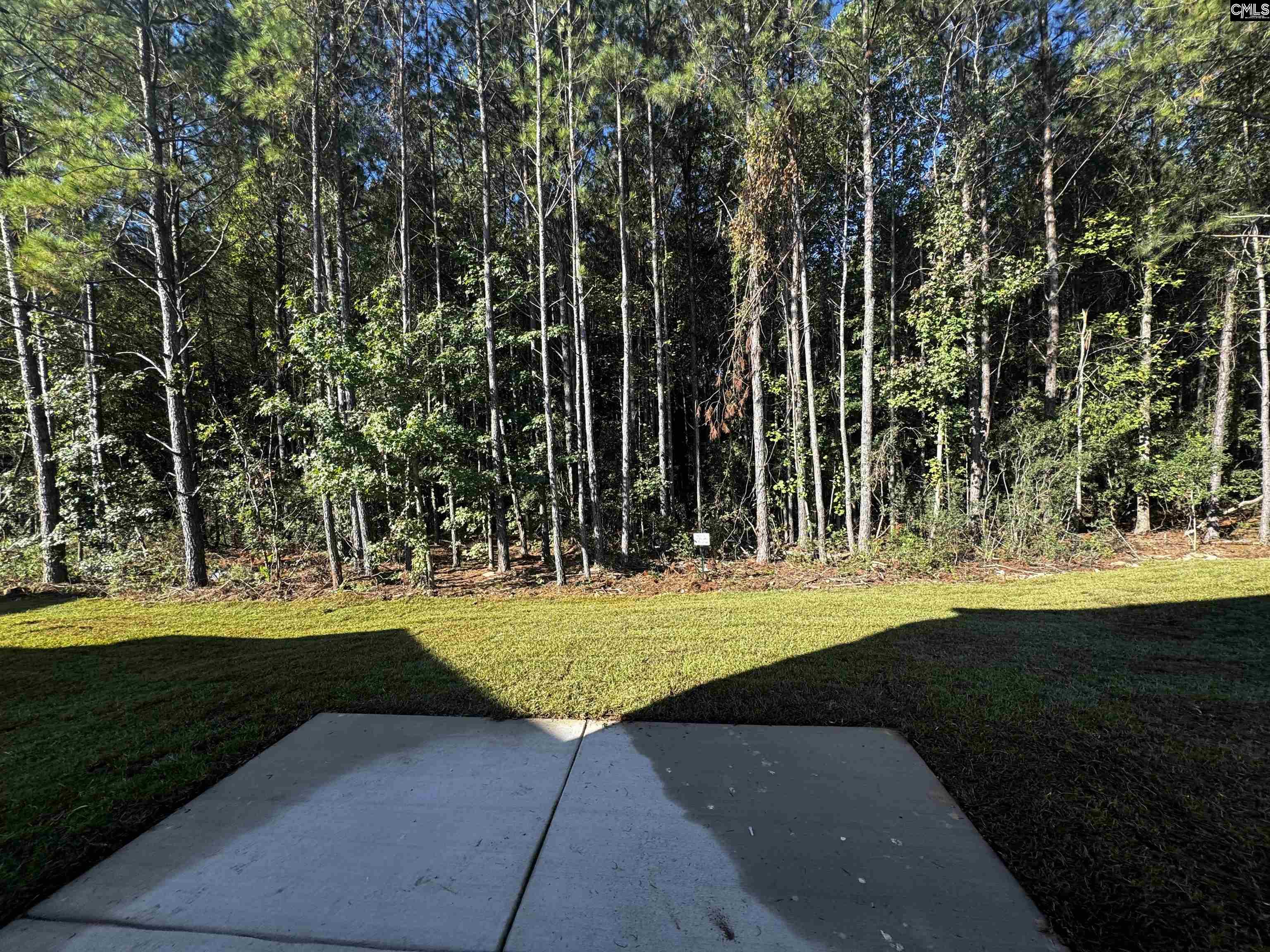 128 Bridgegate Court, Blythewood — photo 5