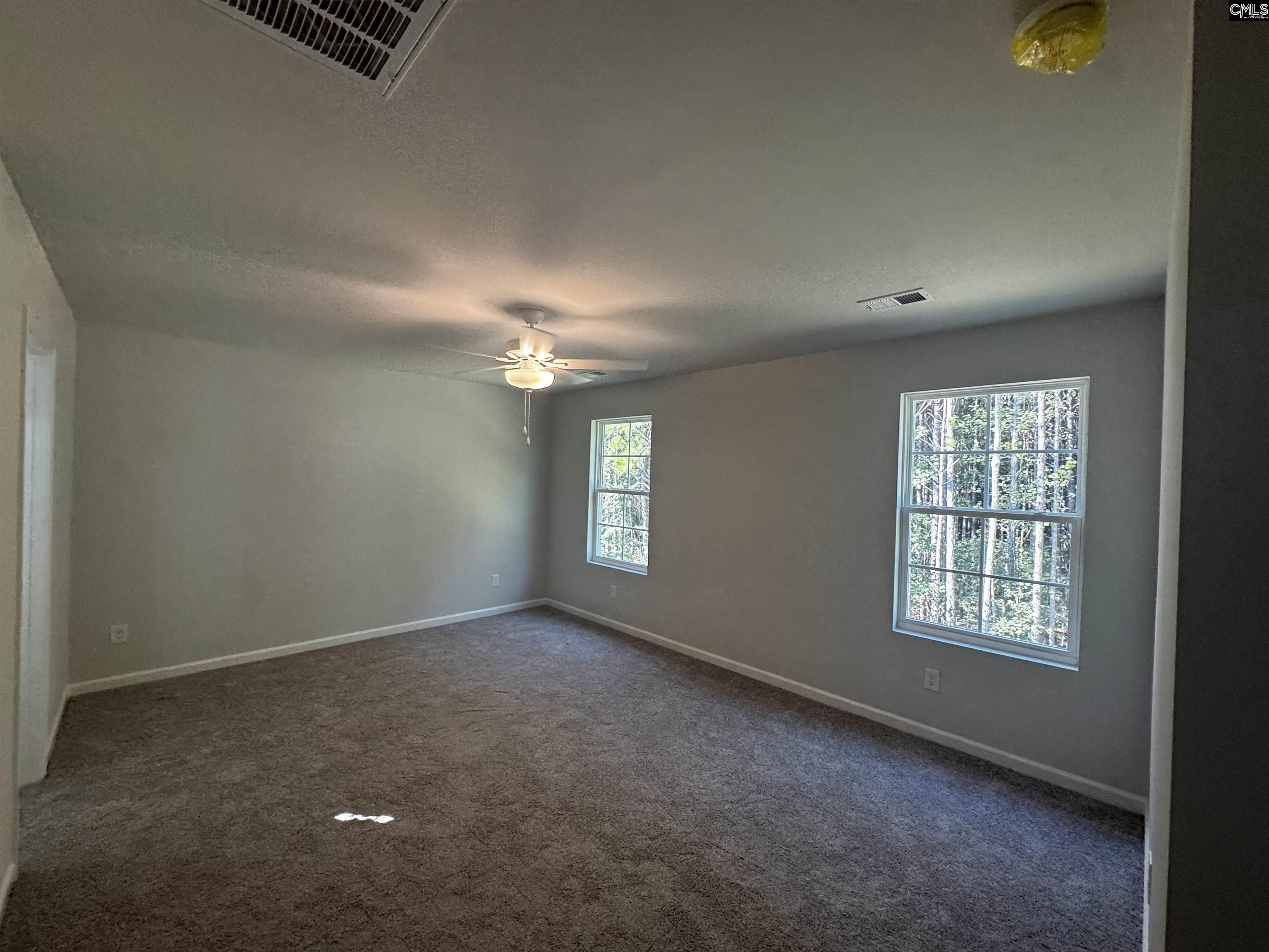 128 Bridgegate Court, Blythewood — photo 6