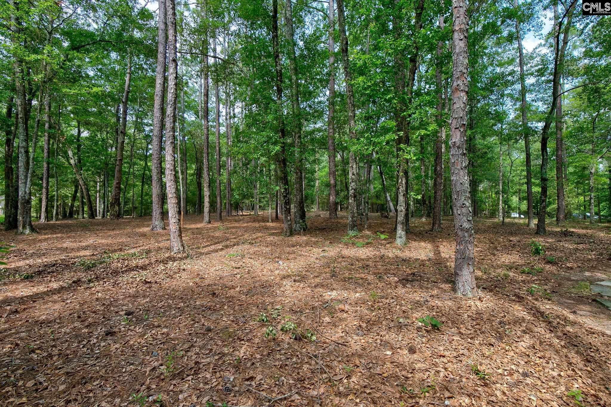 8 Cedar Place Camden, SC 29020-000