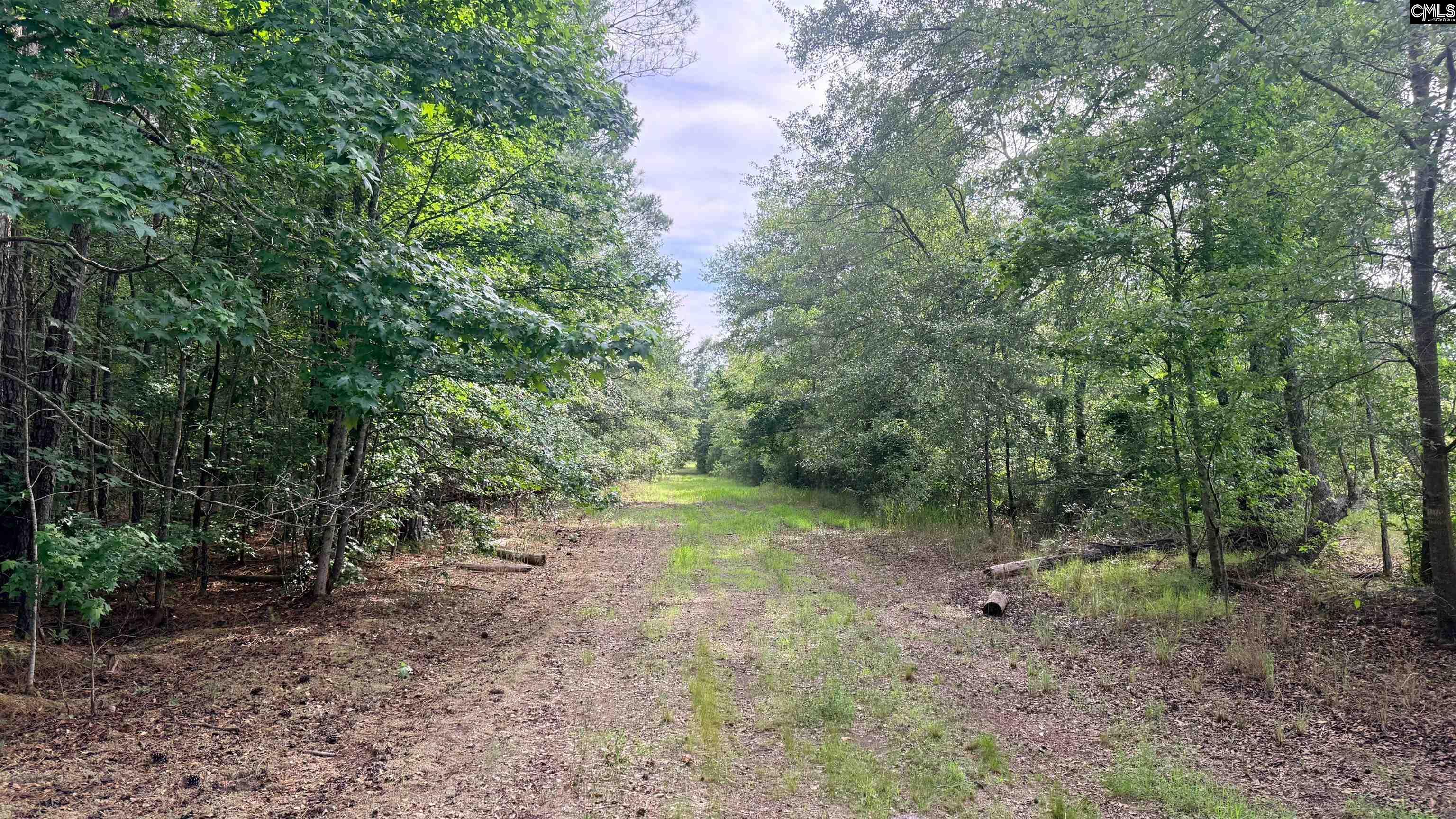 00 Goldenrod Drive Barnwell, SC 29812