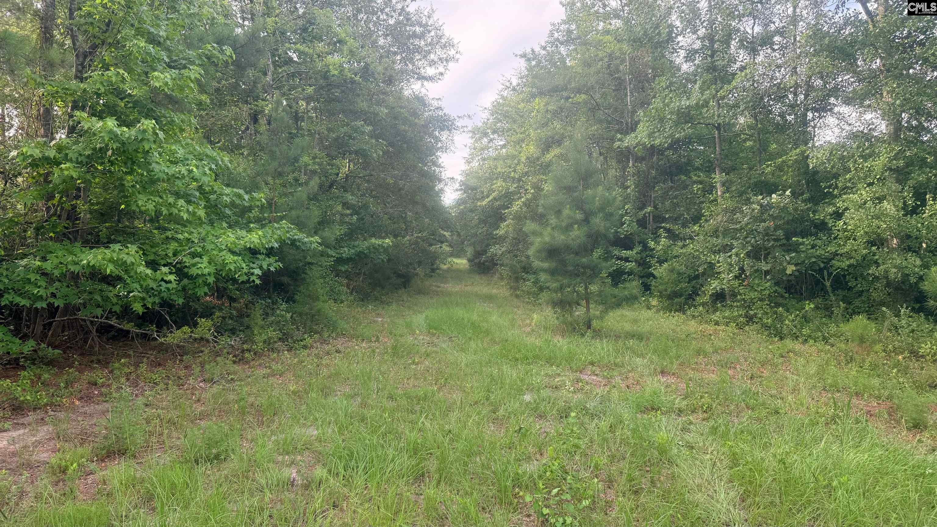 00 Goldenrod Drive Barnwell, SC 29812