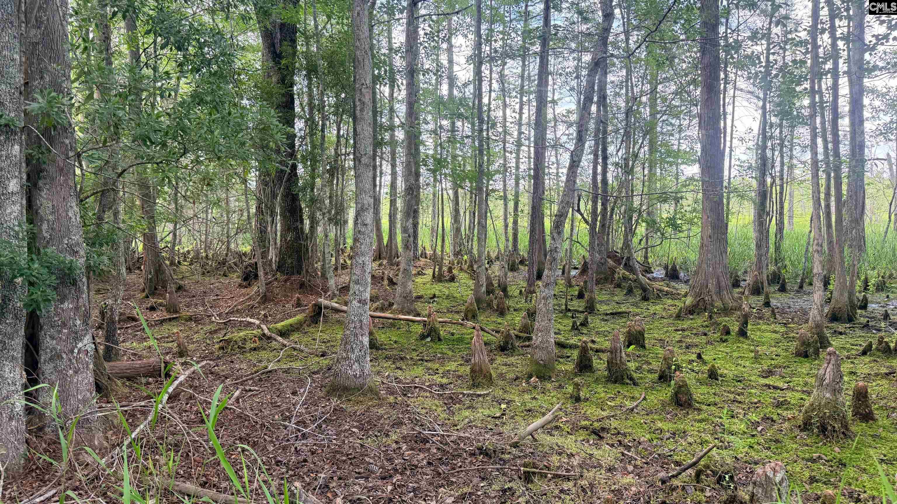 00 Goldenrod Drive Barnwell, SC 29812