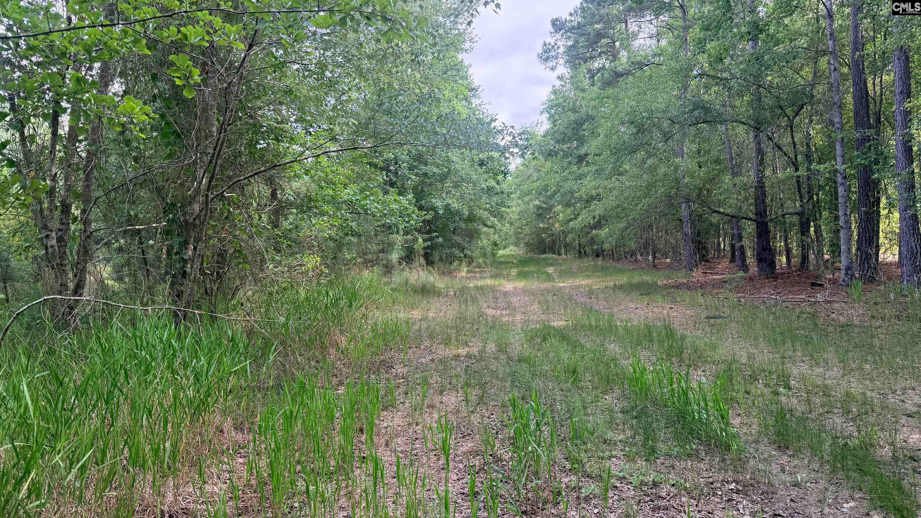 00 Goldenrod Drive Barnwell, SC 29812