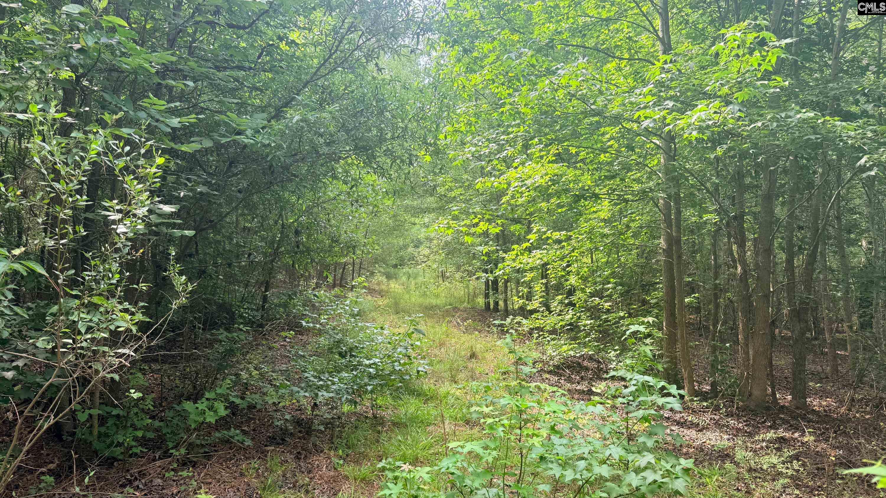00 Old Cherokee Trail Saluda, SC 29138
