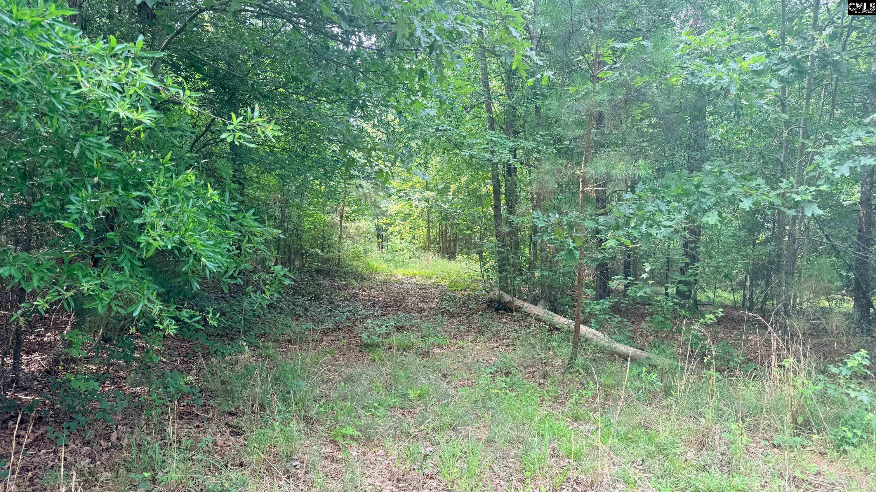 00 Old Cherokee Trail Saluda, SC 29138