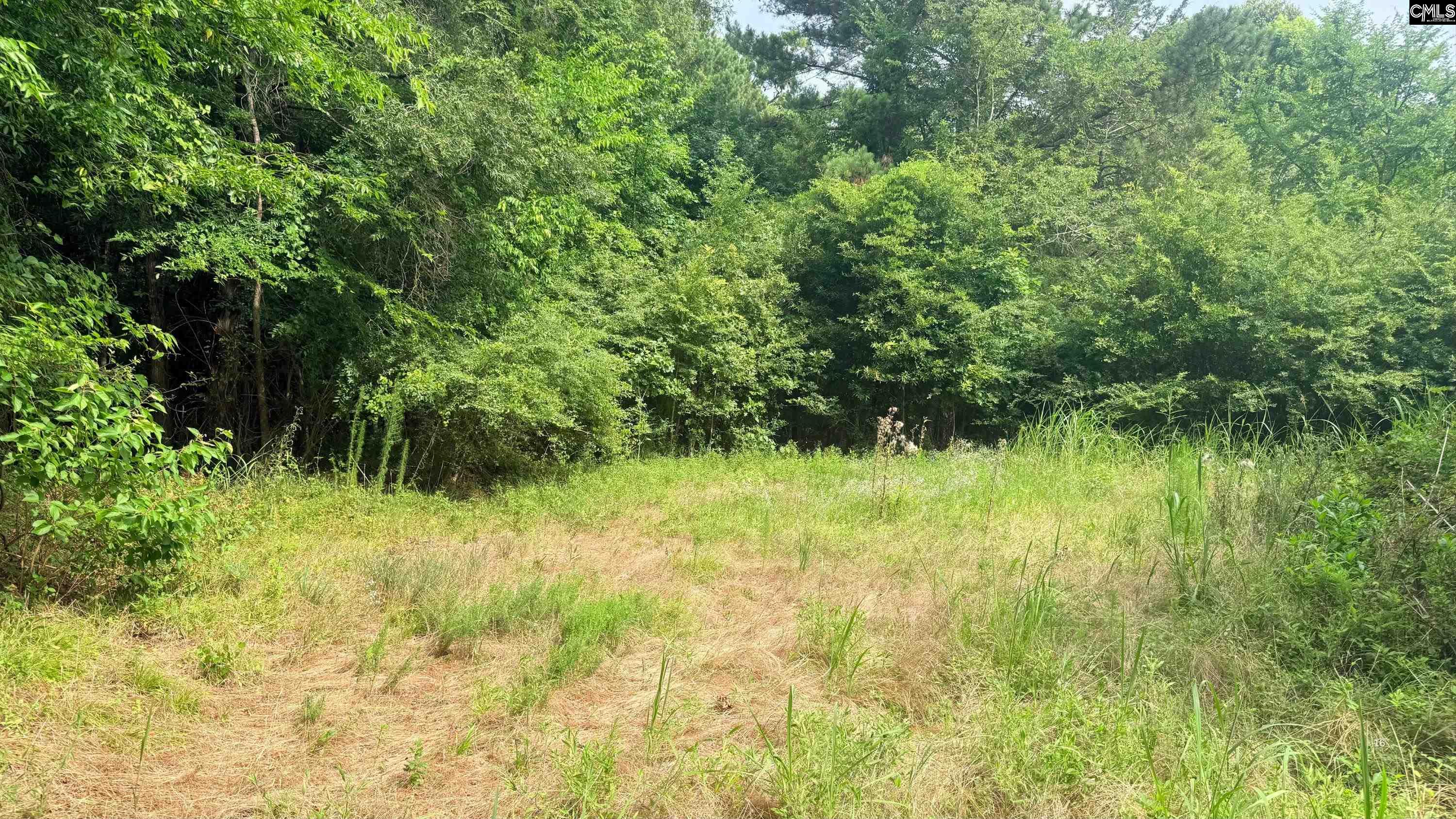 00 Old Cherokee Trail Saluda, SC 29138