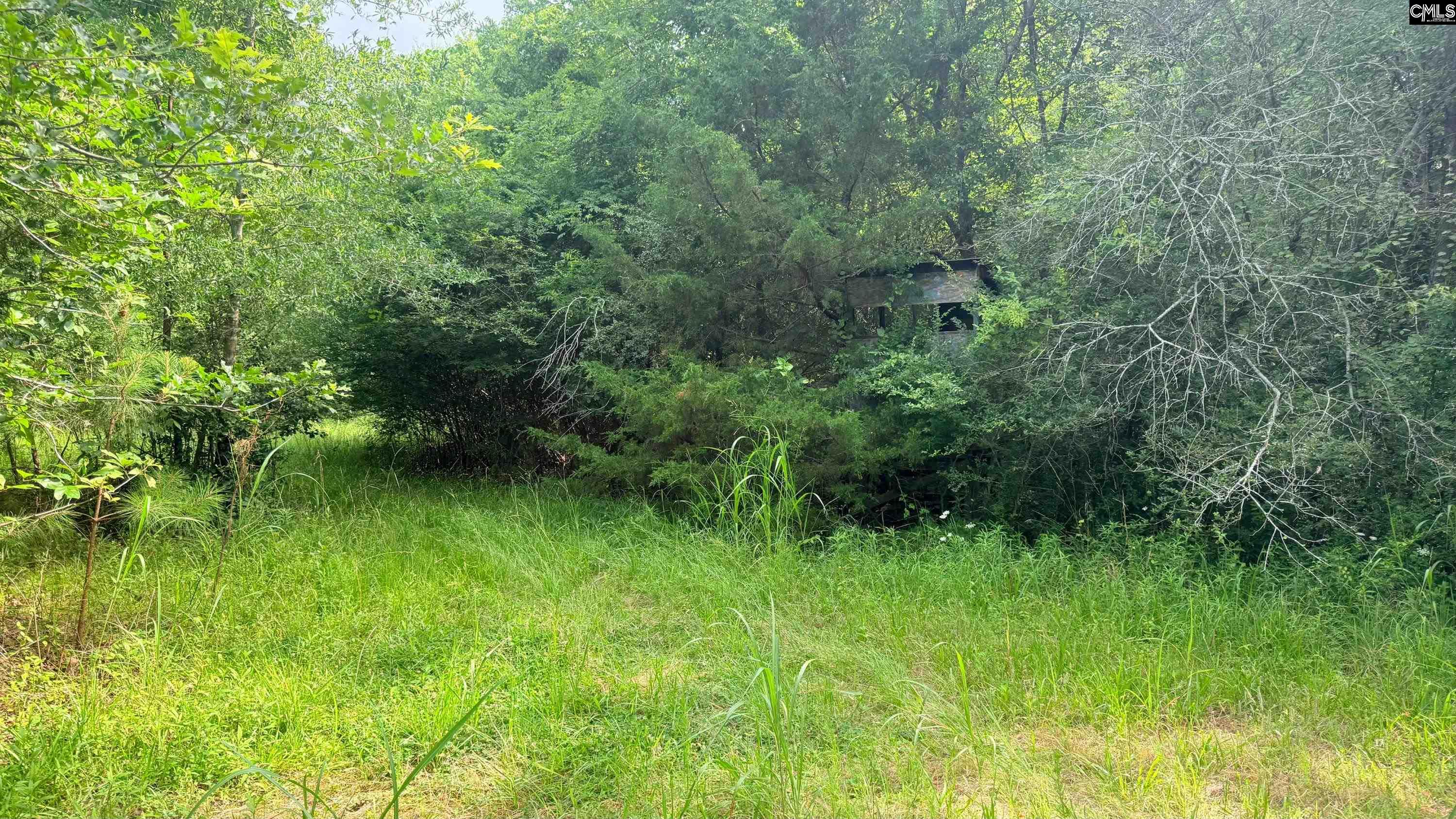 00 Old Cherokee Trail Saluda, SC 29138