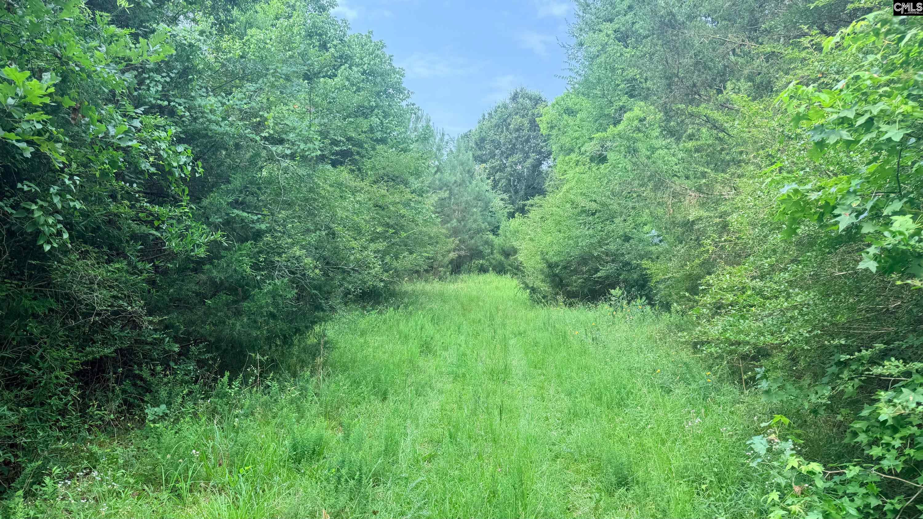 00 Old Cherokee Trail Saluda, SC 29138