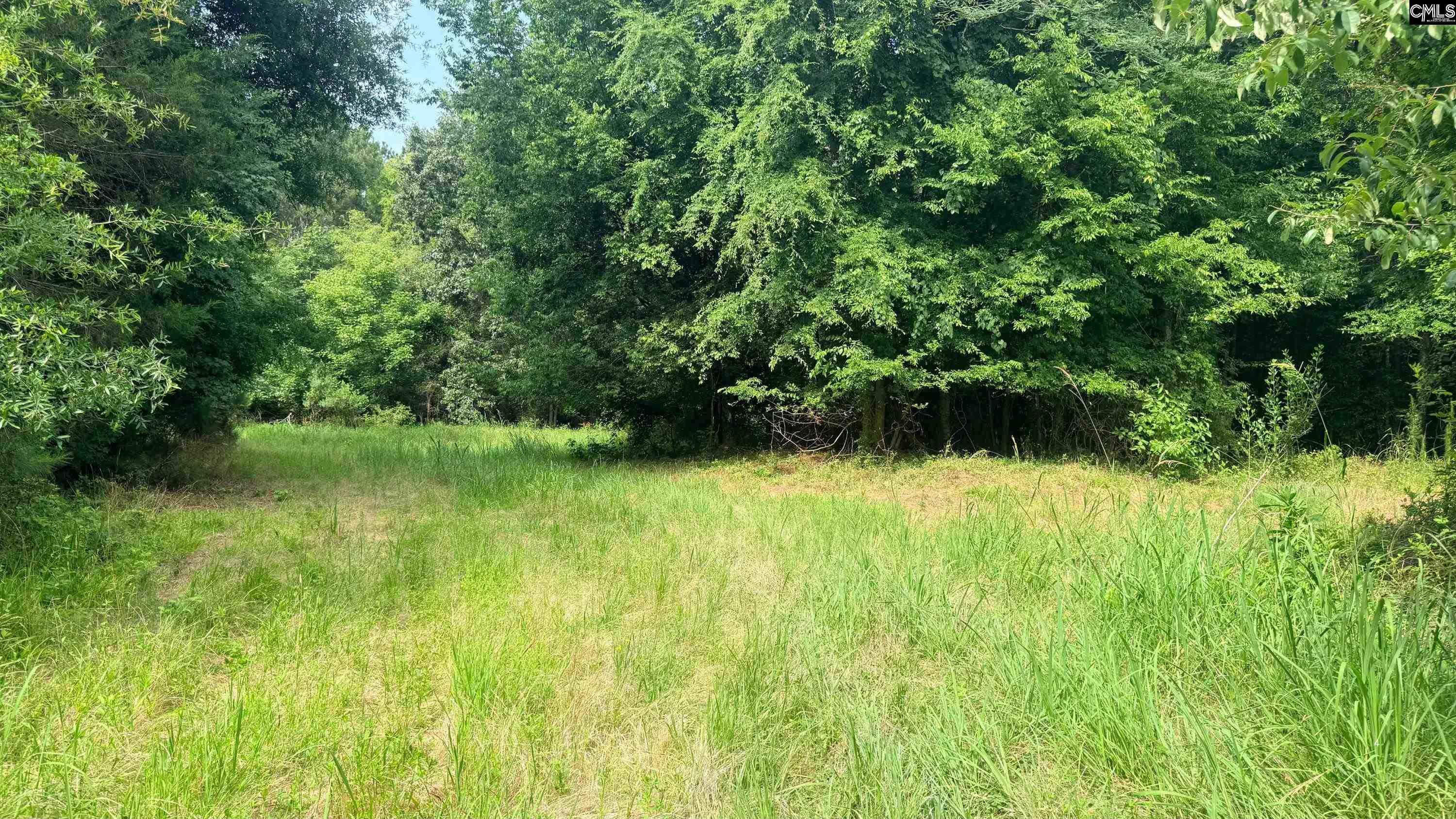 00 Old Cherokee Trail Saluda, SC 29138