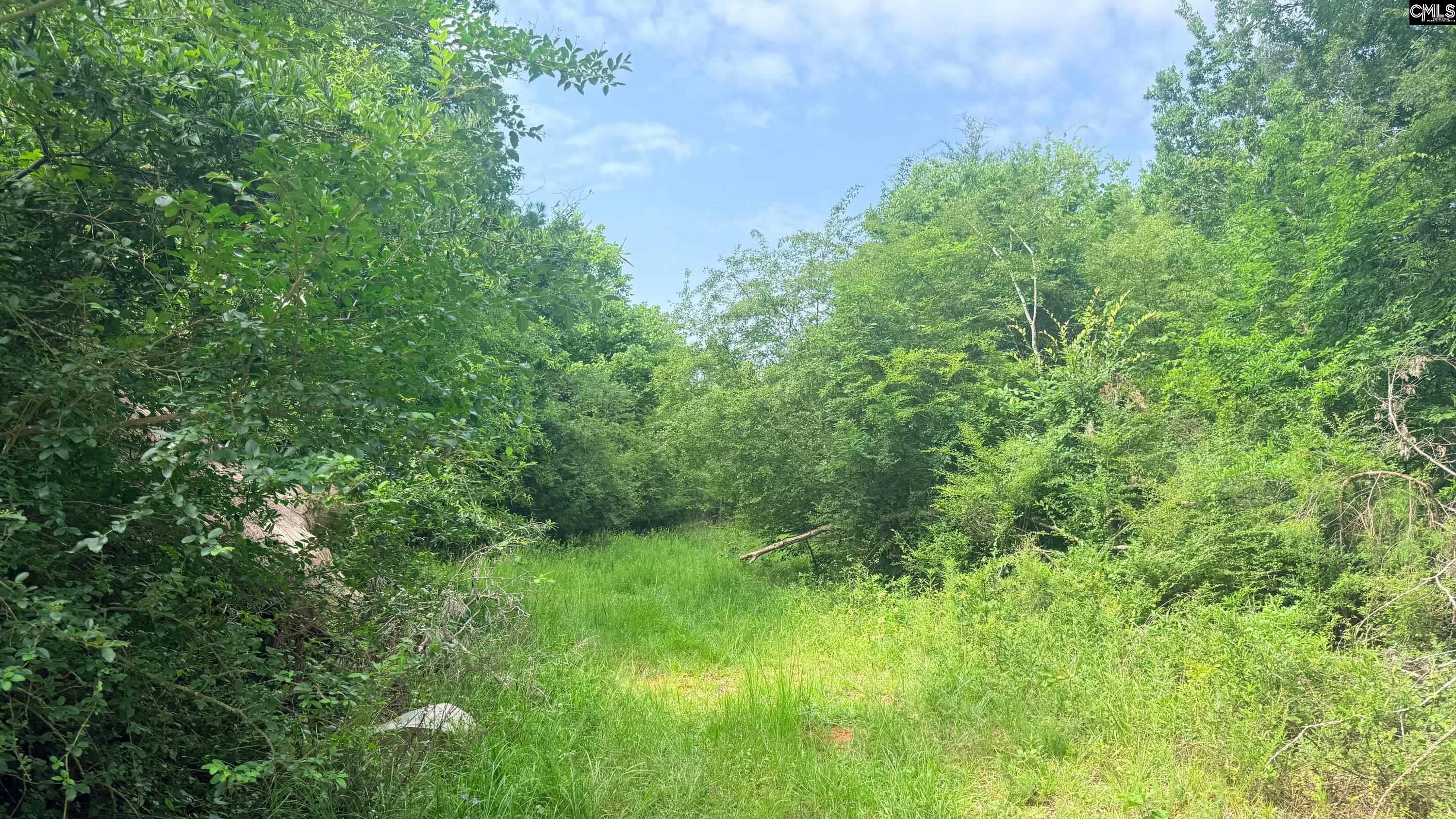 00 Old Cherokee Trail Saluda, SC 29138