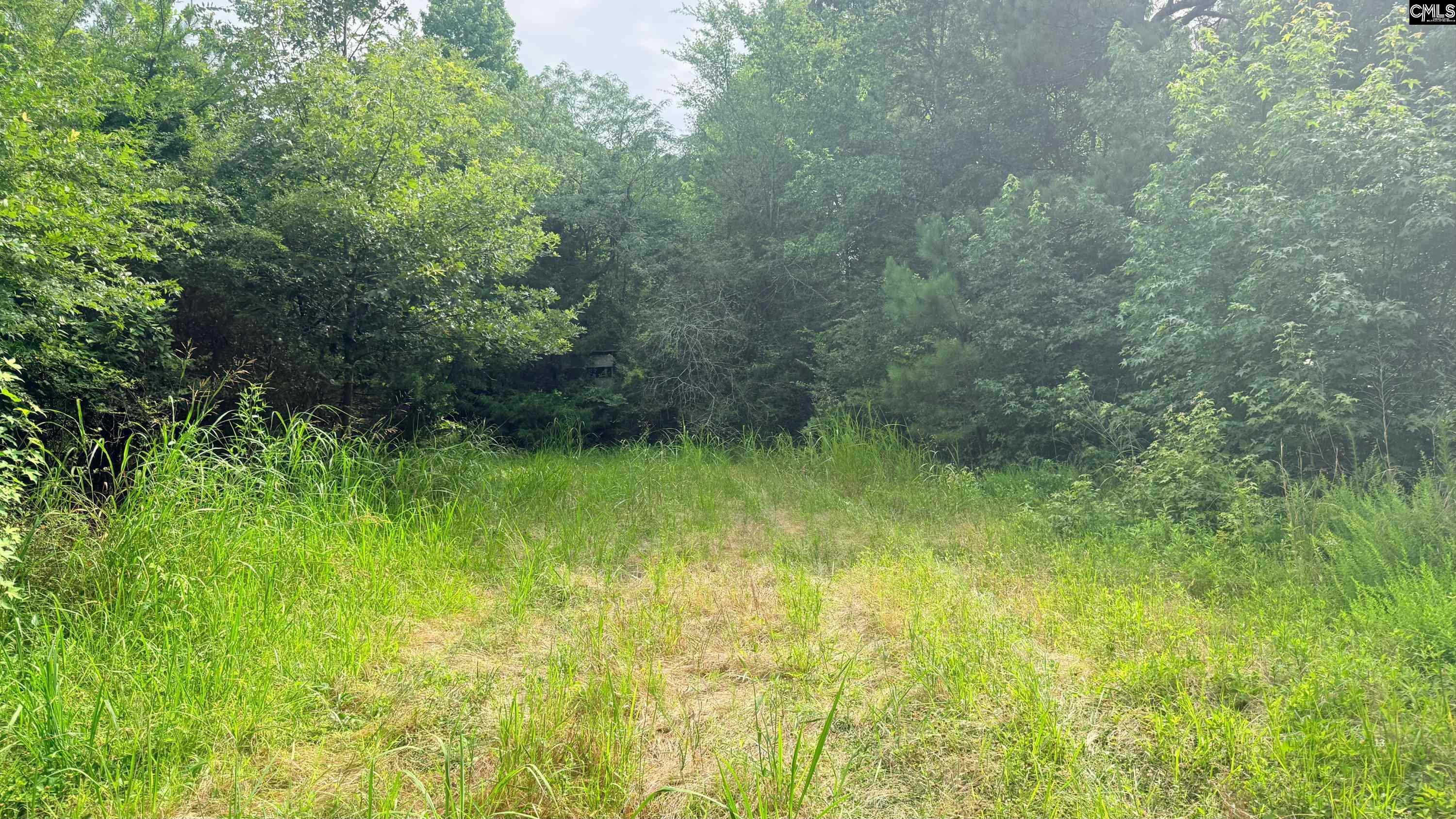 00 Old Cherokee Trail Saluda, SC 29138