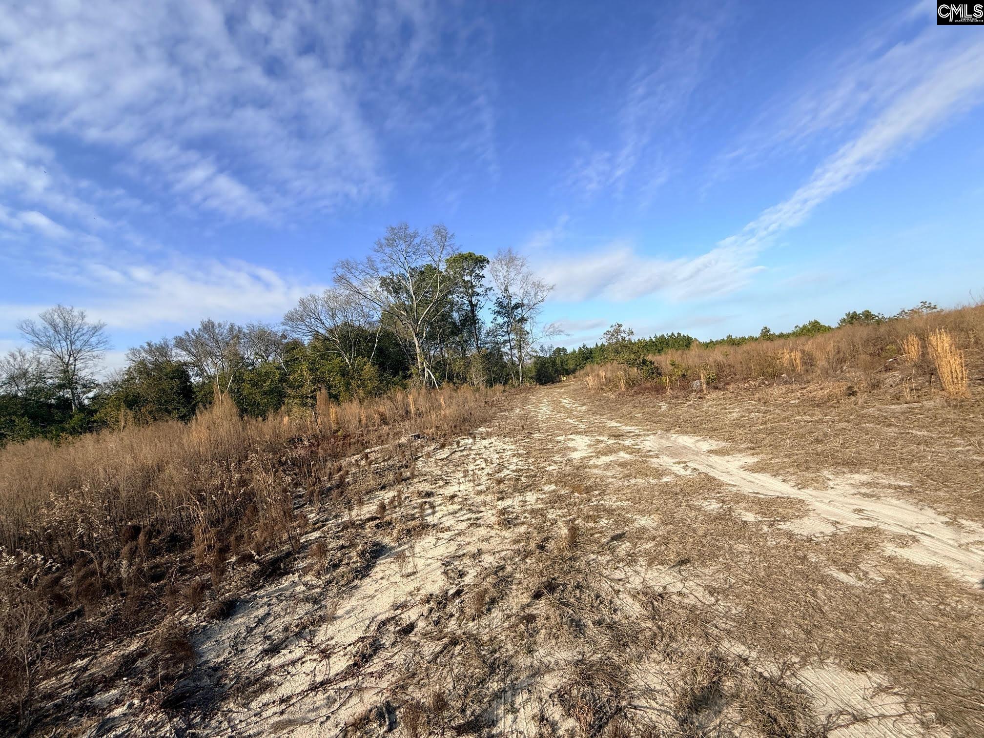 Festival Trail Road UNIT #5 Salley, SC 29137