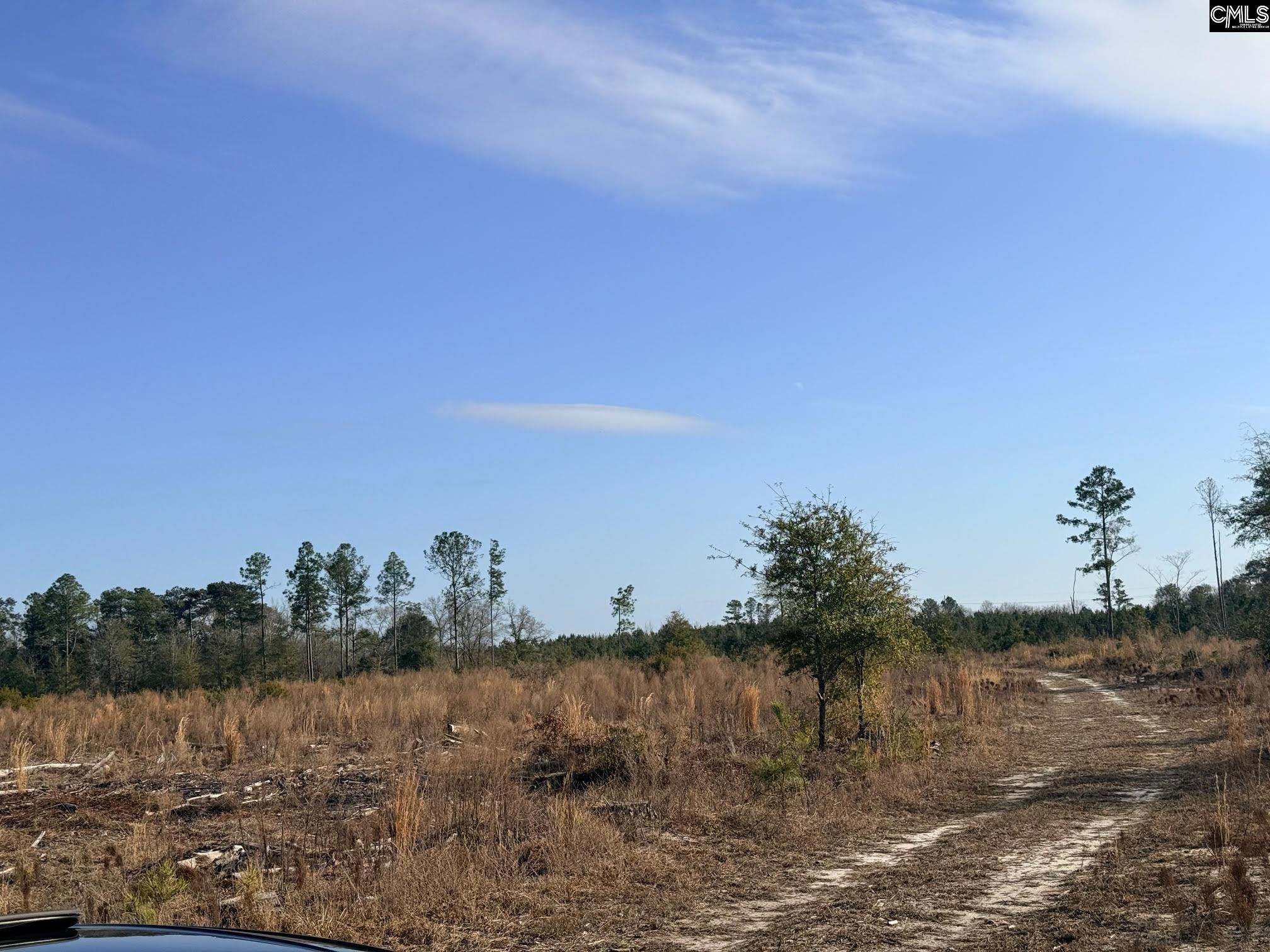 Festival Trail Road UNIT #5 Salley, SC 29137