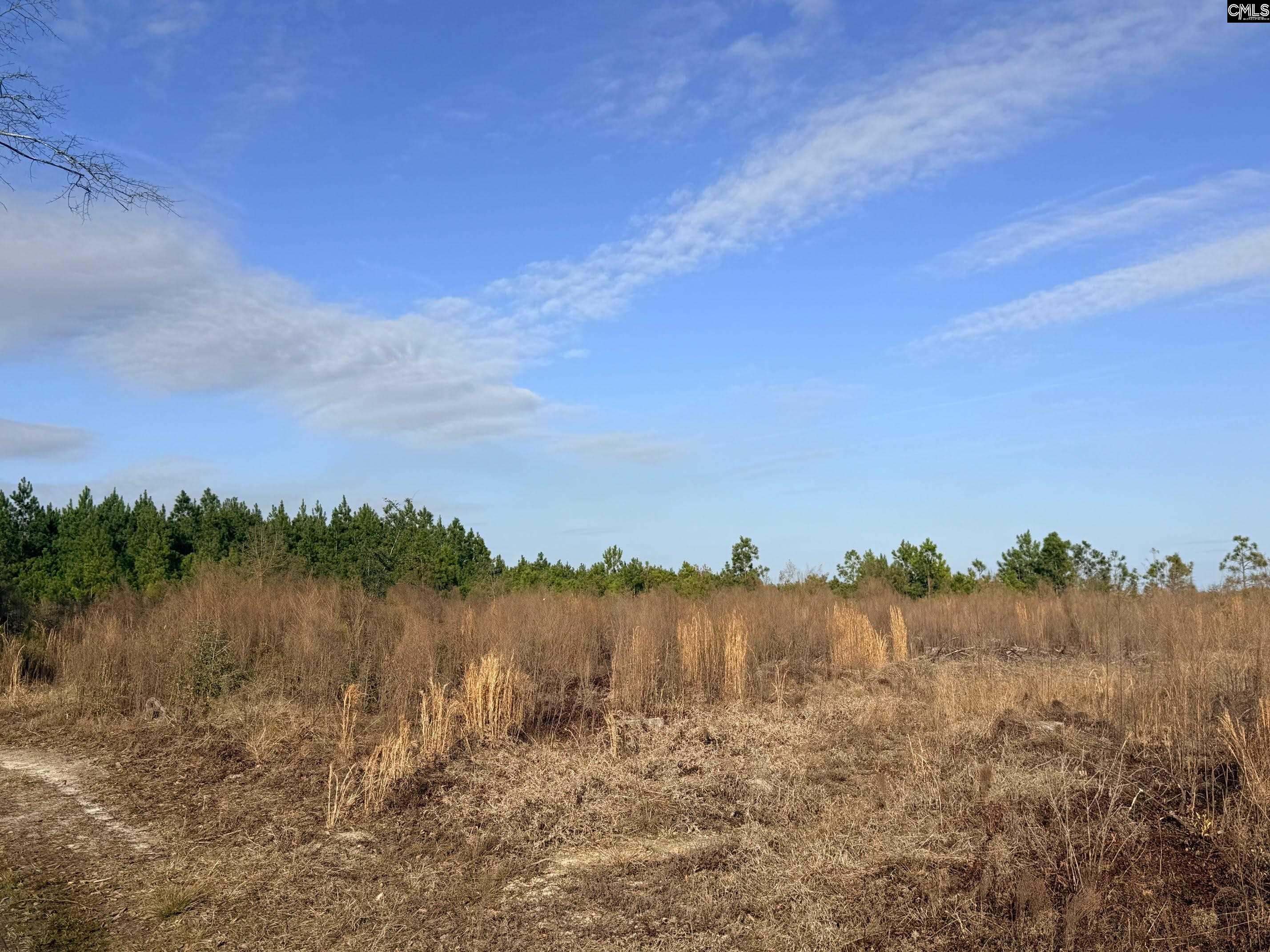 Festival Trail Road UNIT #5 Salley, SC 29137