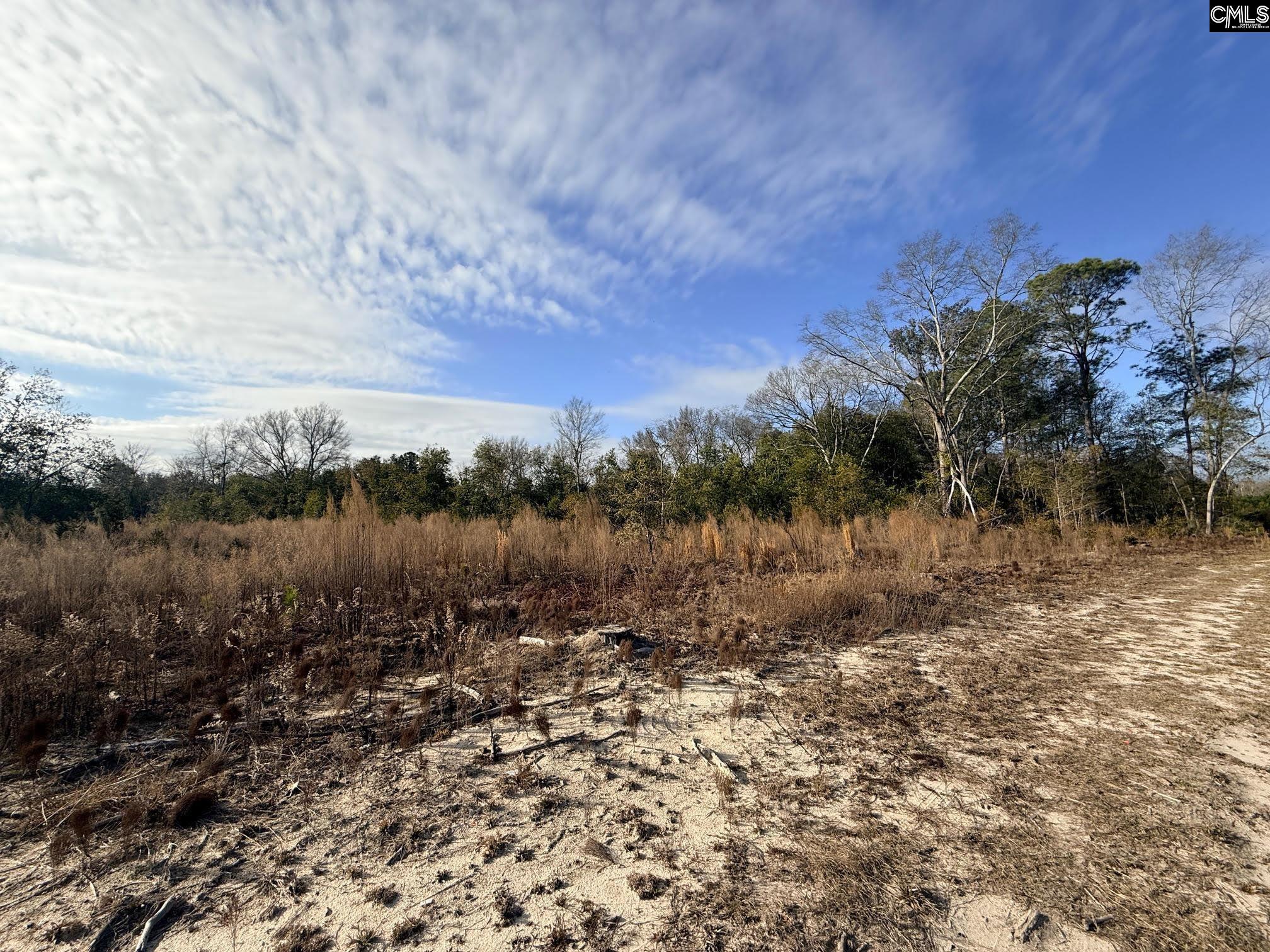 Festival Trail Road UNIT #5 Salley, SC 29137
