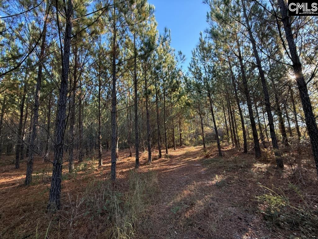 Fairview Road Leesville, SC 29070