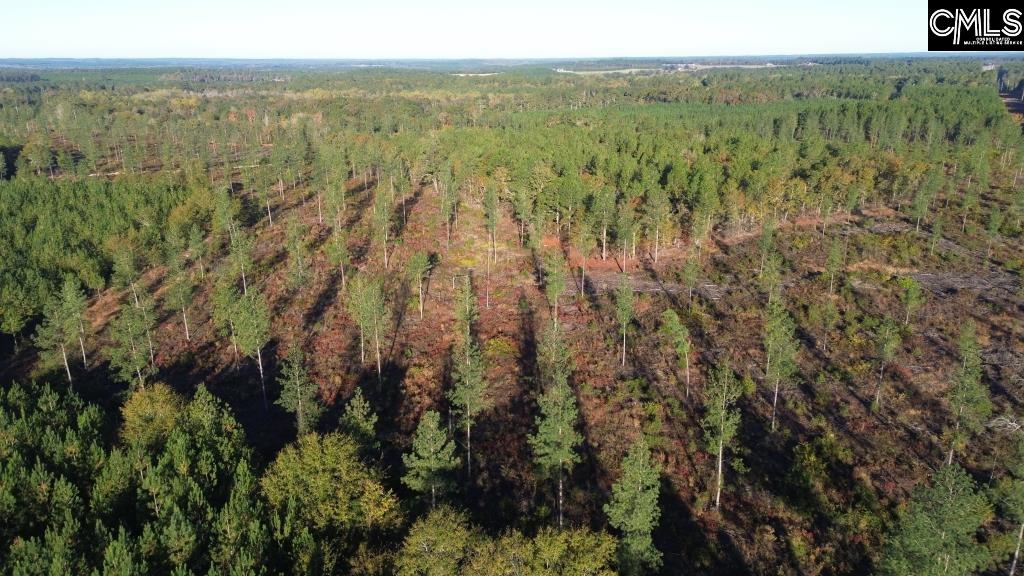 Fairview Road Leesville, SC 29070