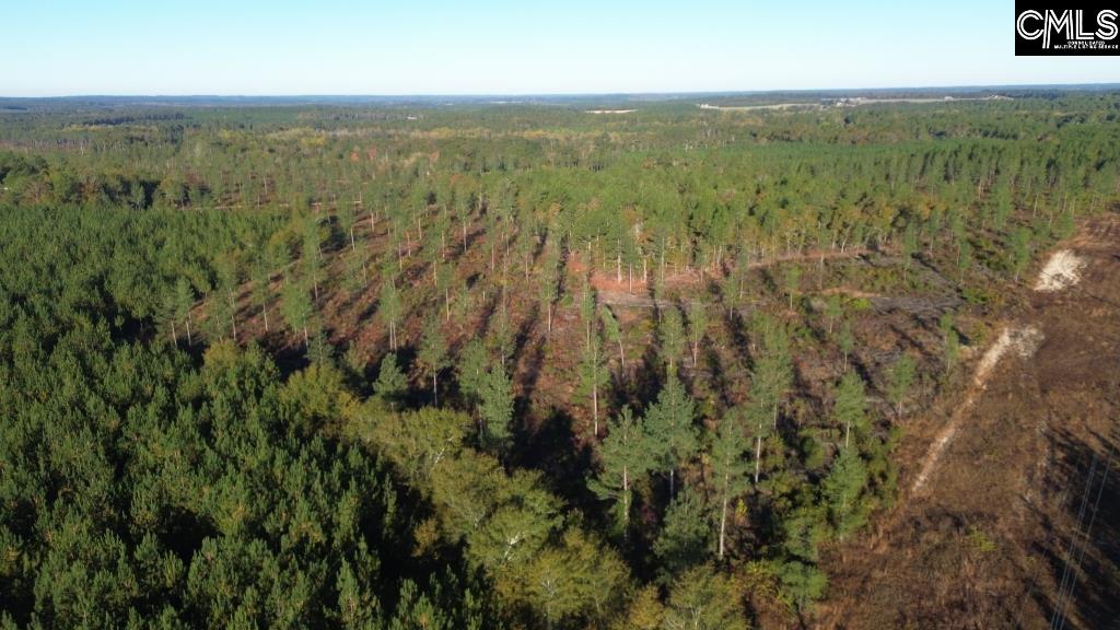Fairview Road Leesville, SC 29070