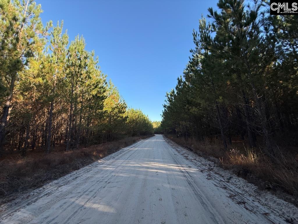 Fairview Road Leesville, SC 29070
