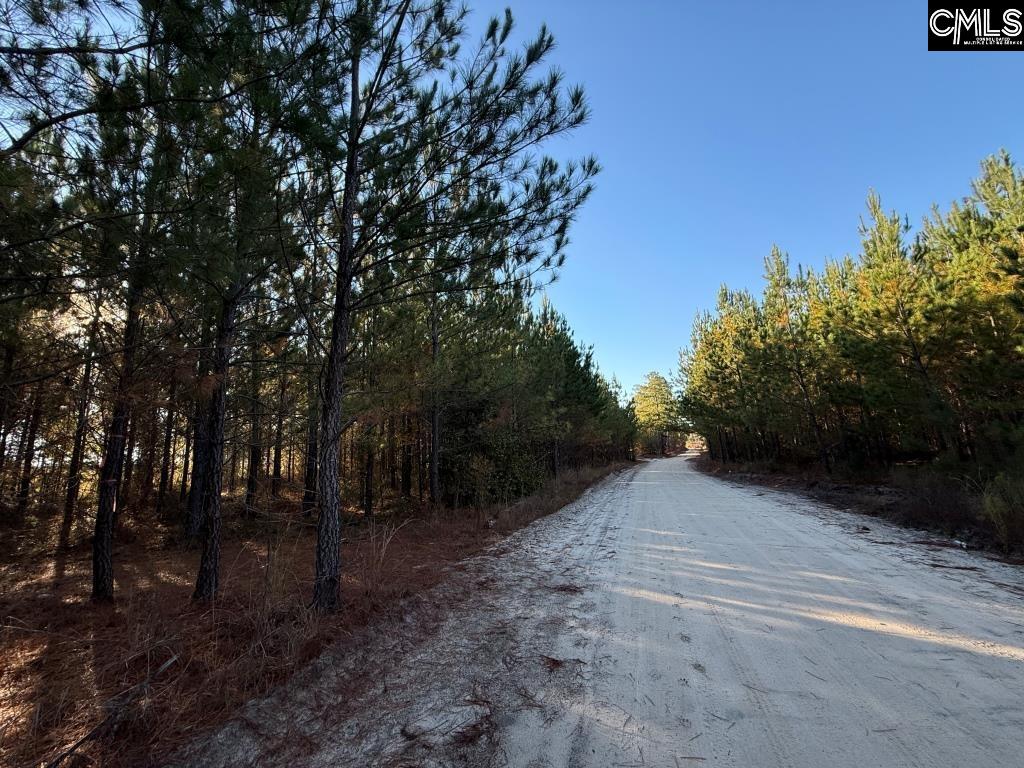Fairview Road Leesville, SC 29070