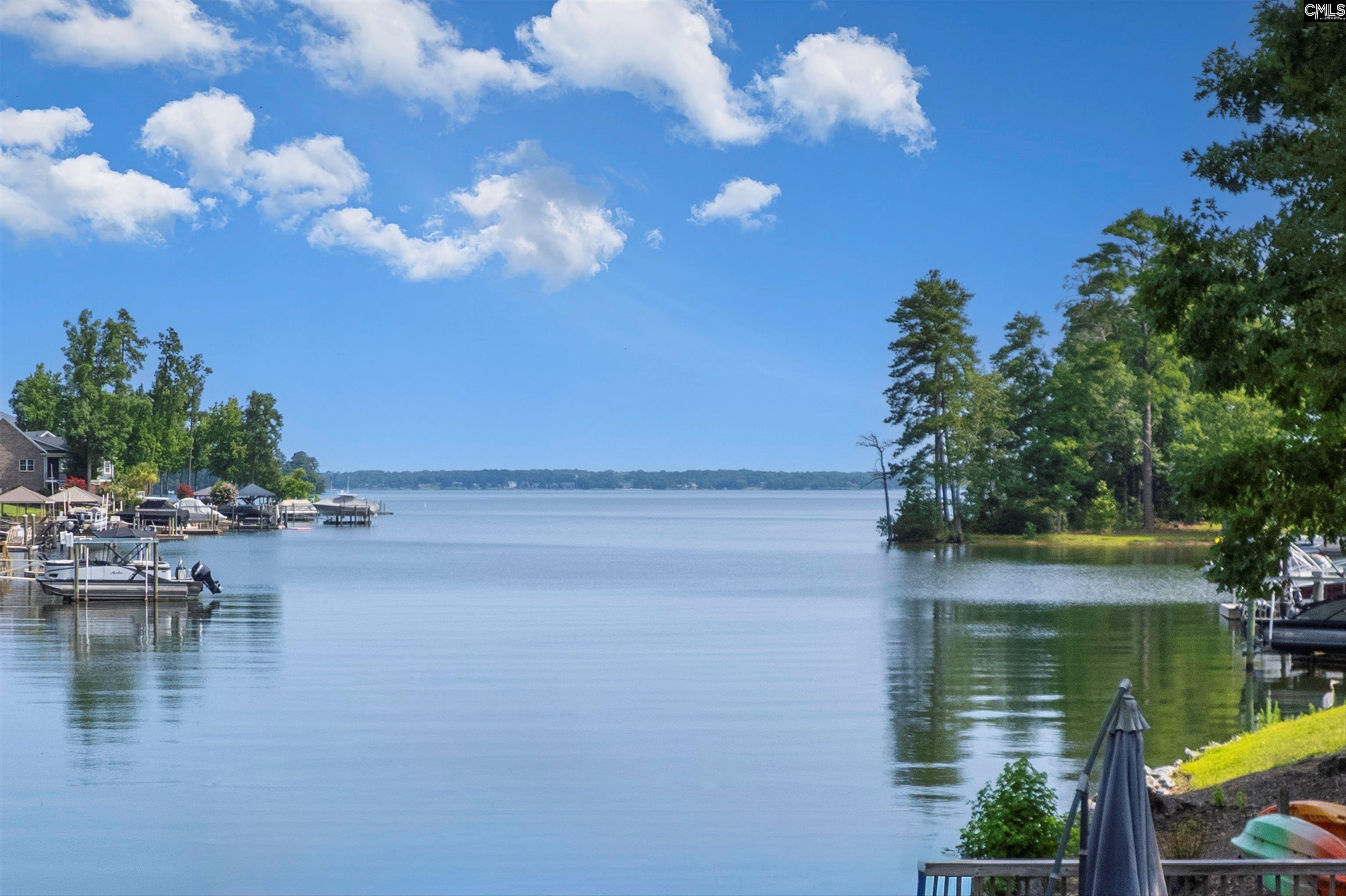 105 Palmetto Cove Lane Lexington, SC 29072