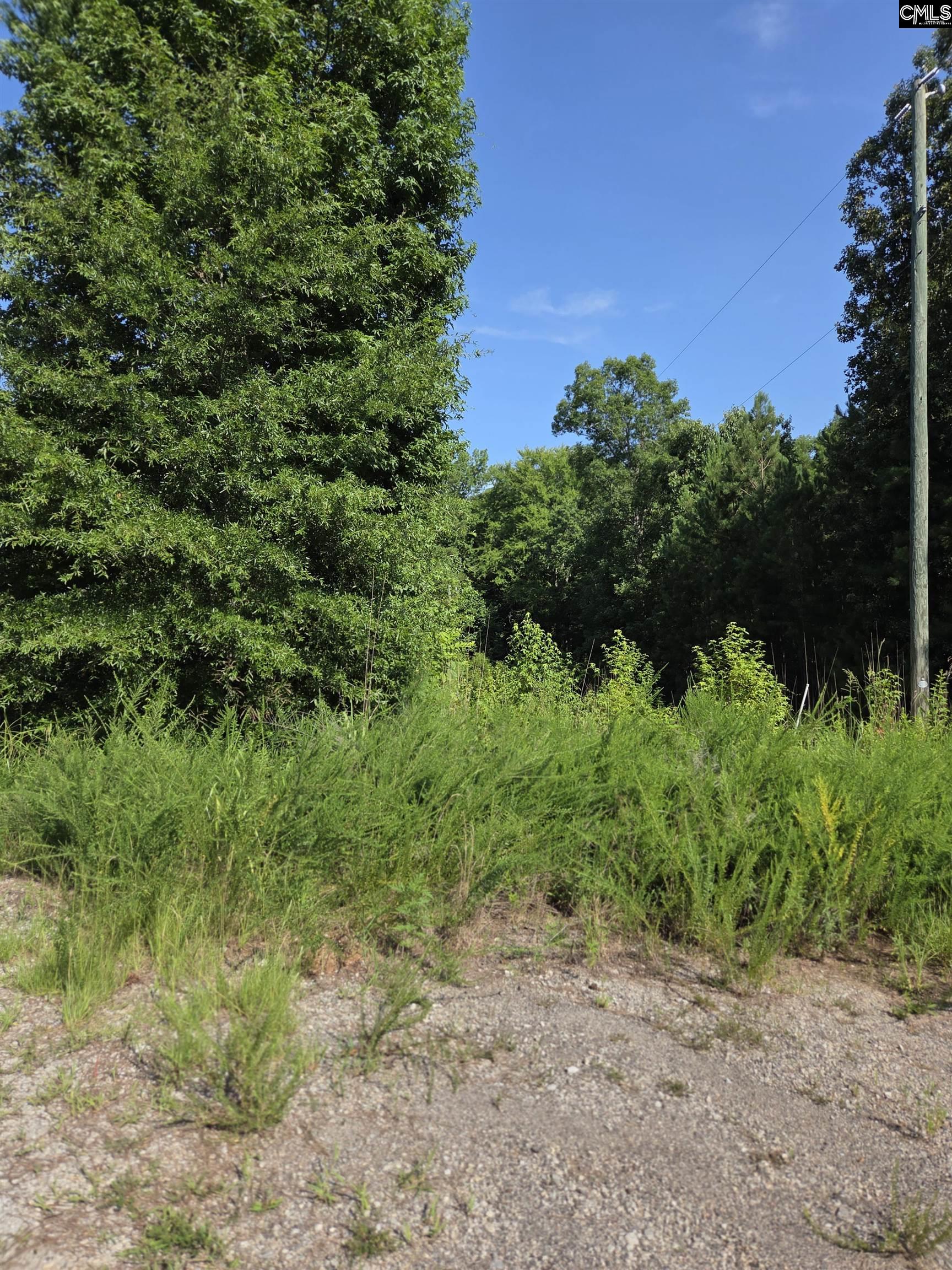  Longleaf Court Lot 7