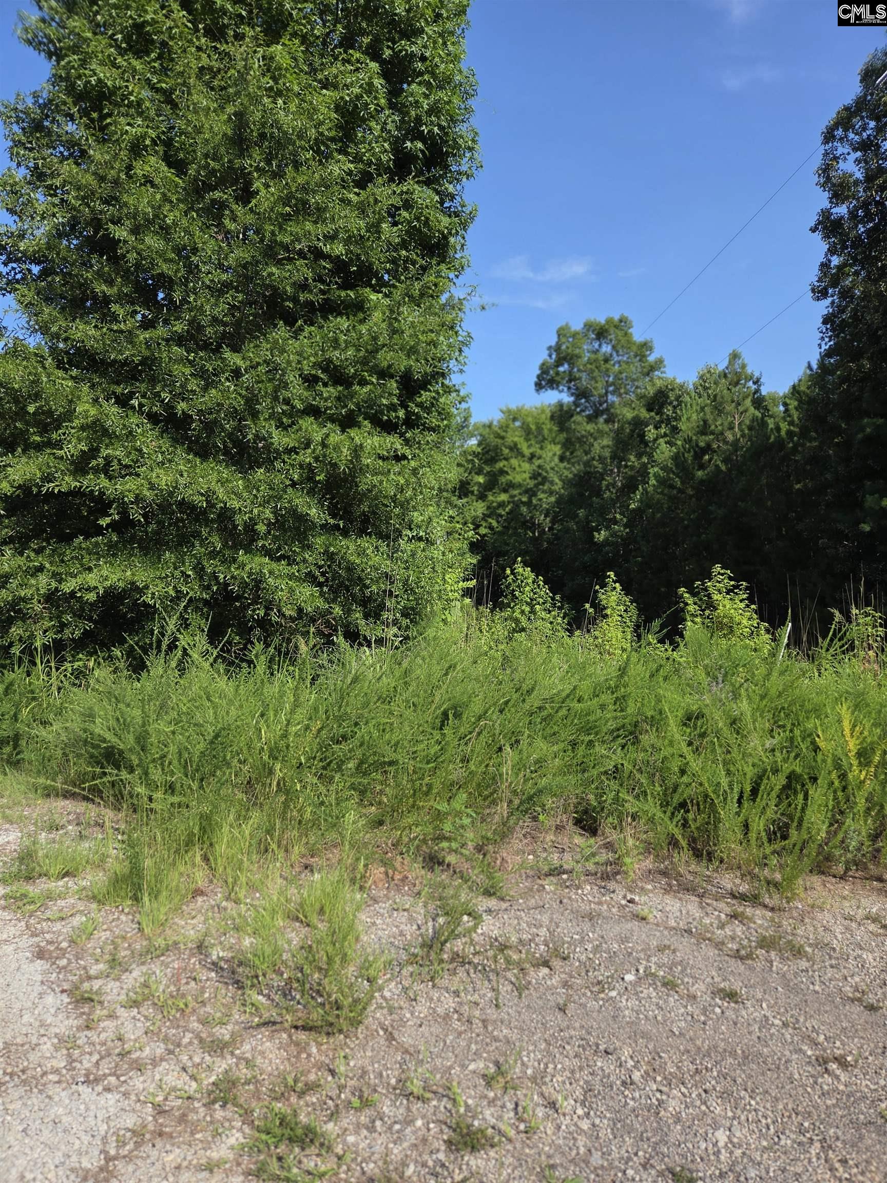  Longleaf Court Lot 7
